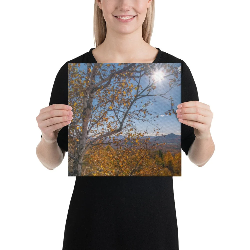 canvas-(in)-12x12-person-636ea7f5c11a7.jpg