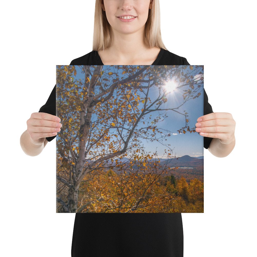 canvas-(in)-16x16-person-636ea7f5c13f0.jpg