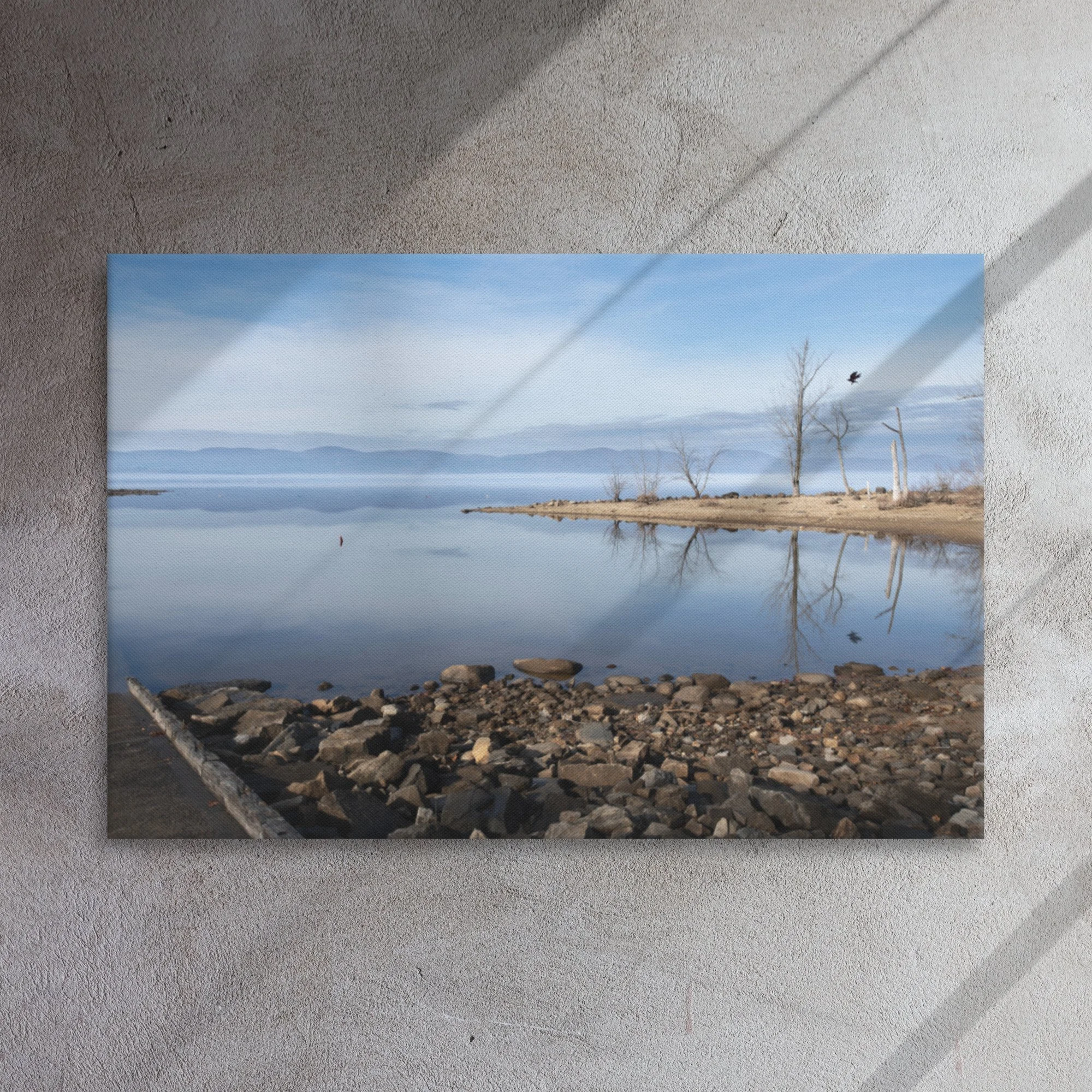 thin-canvas-(in)-24x36-front-637d8c9dd4e5e.jpg