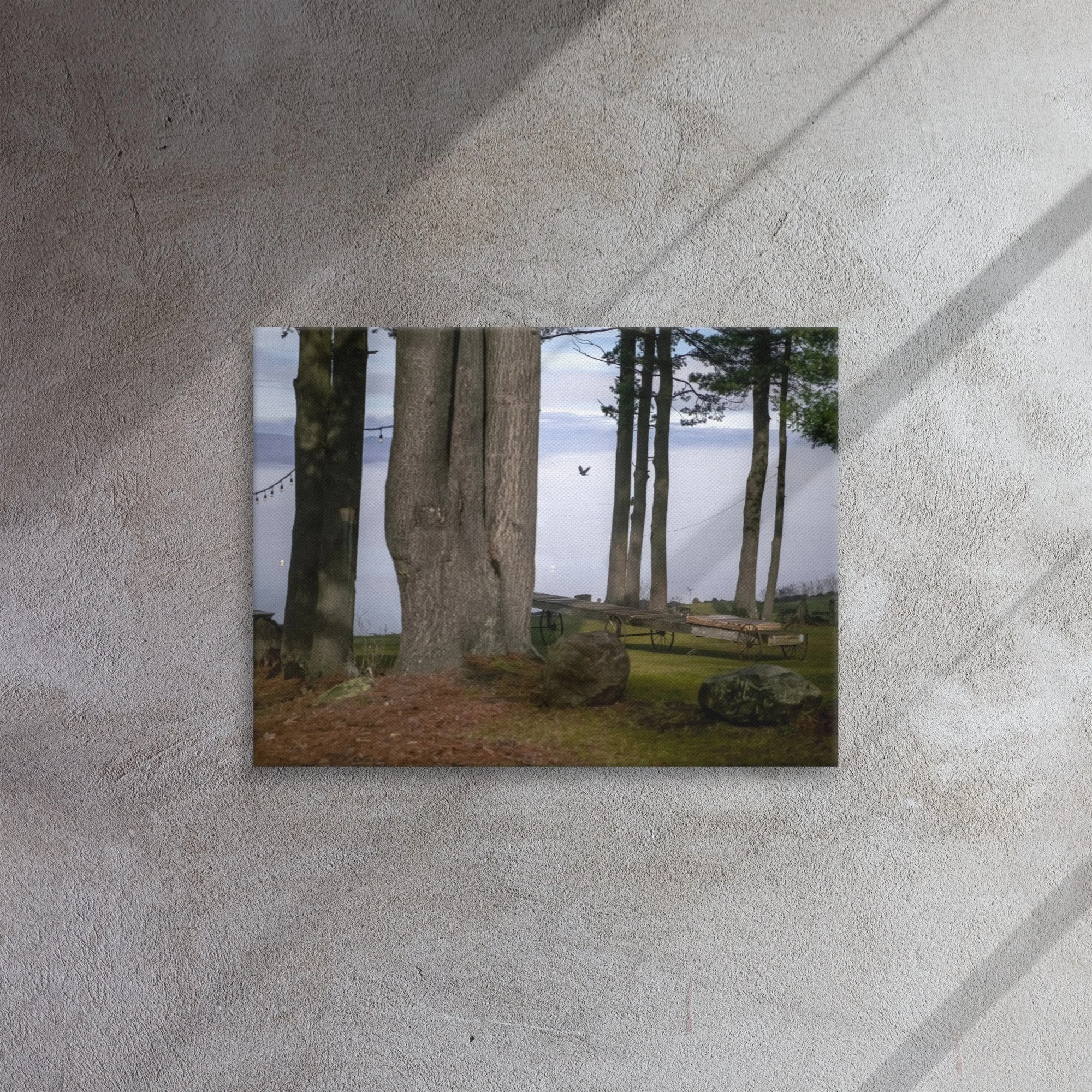 thin-canvas-(in)-18x24-front-637e32529dc9b.jpg