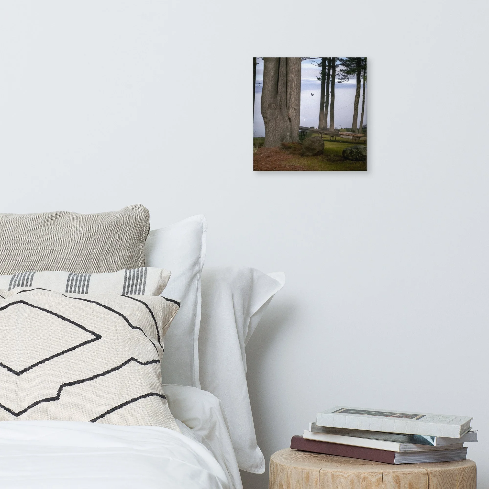 canvas-(in)-12x12-front-637e3388e44d2.jpg