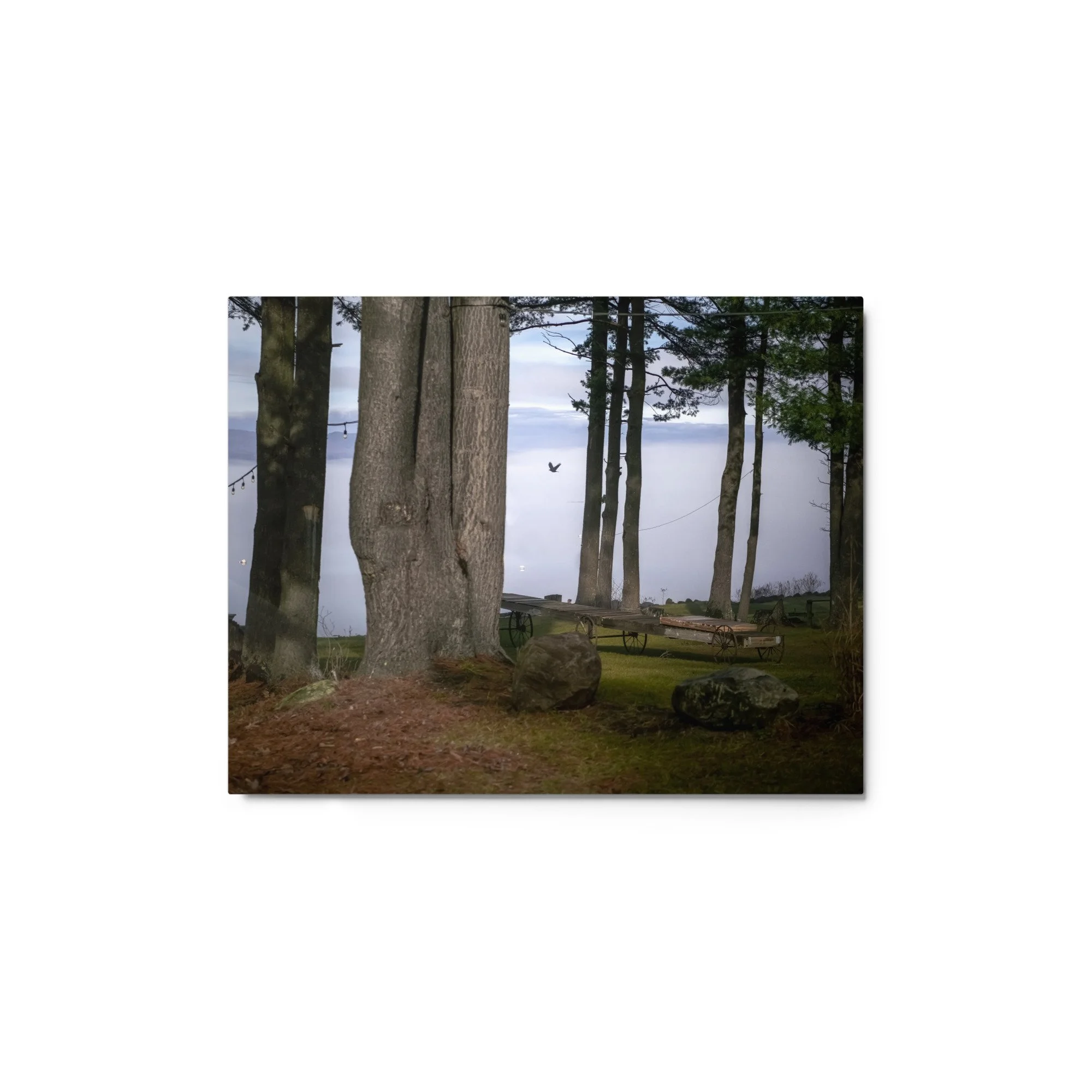 glossy-metal-print-(in)-white-11x14-front-637e363457e87.jpg