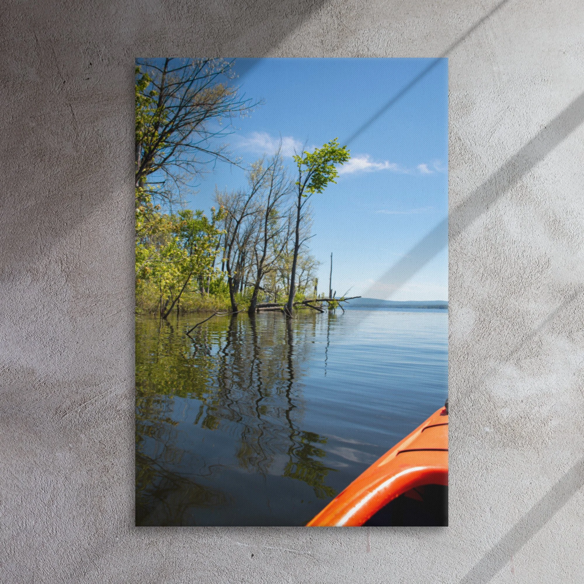 thin-canvas-(in)-24x36-front-637e3b6e63ddb.jpg