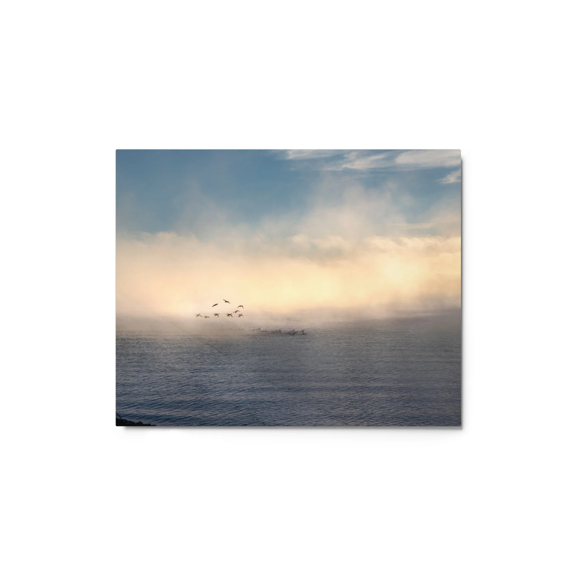 glossy-metal-print-(in)-white-8x10-front-637e4b6fe315f.jpg
