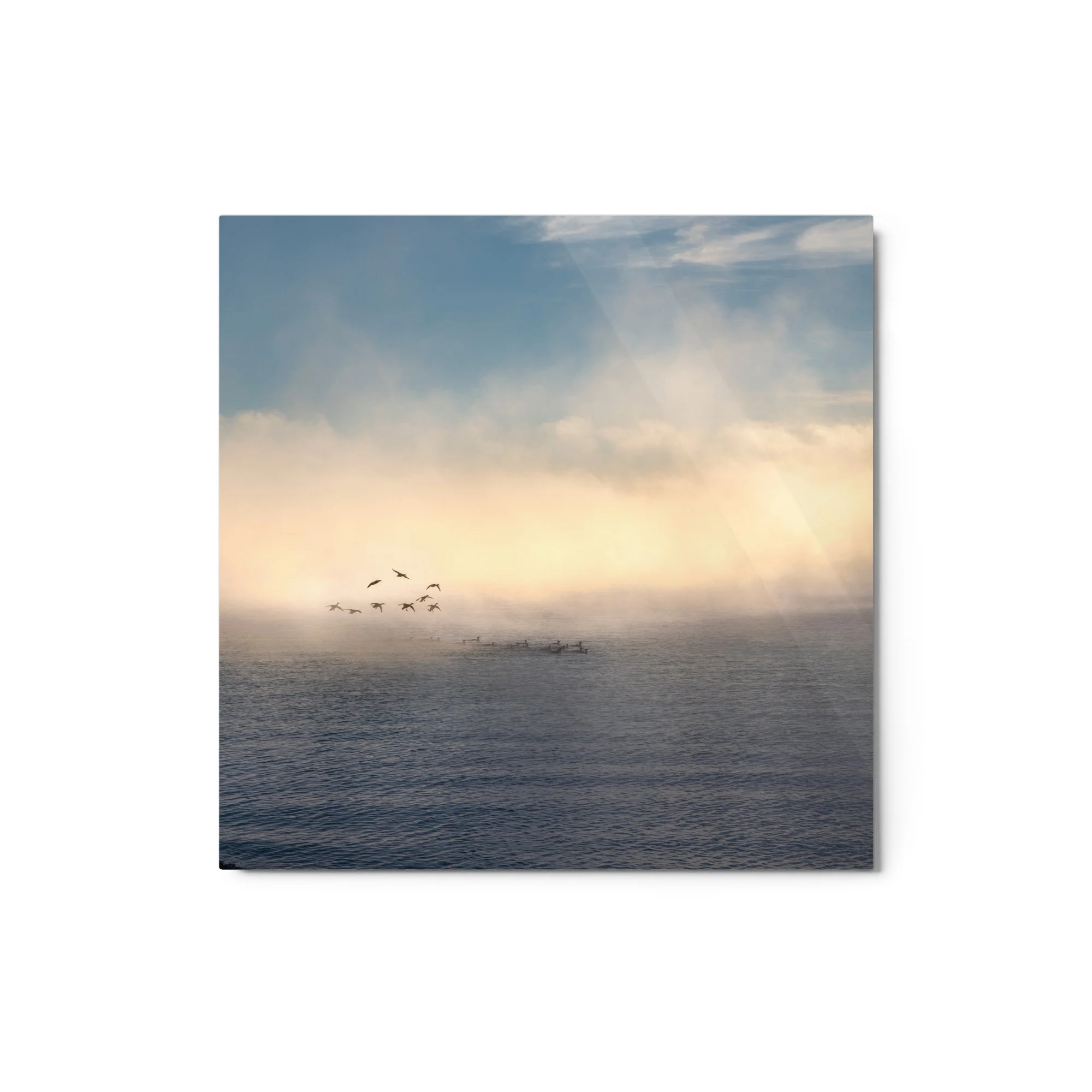 glossy-metal-print-(in)-white-12x12-front-637e4b6fe3b6b.jpg