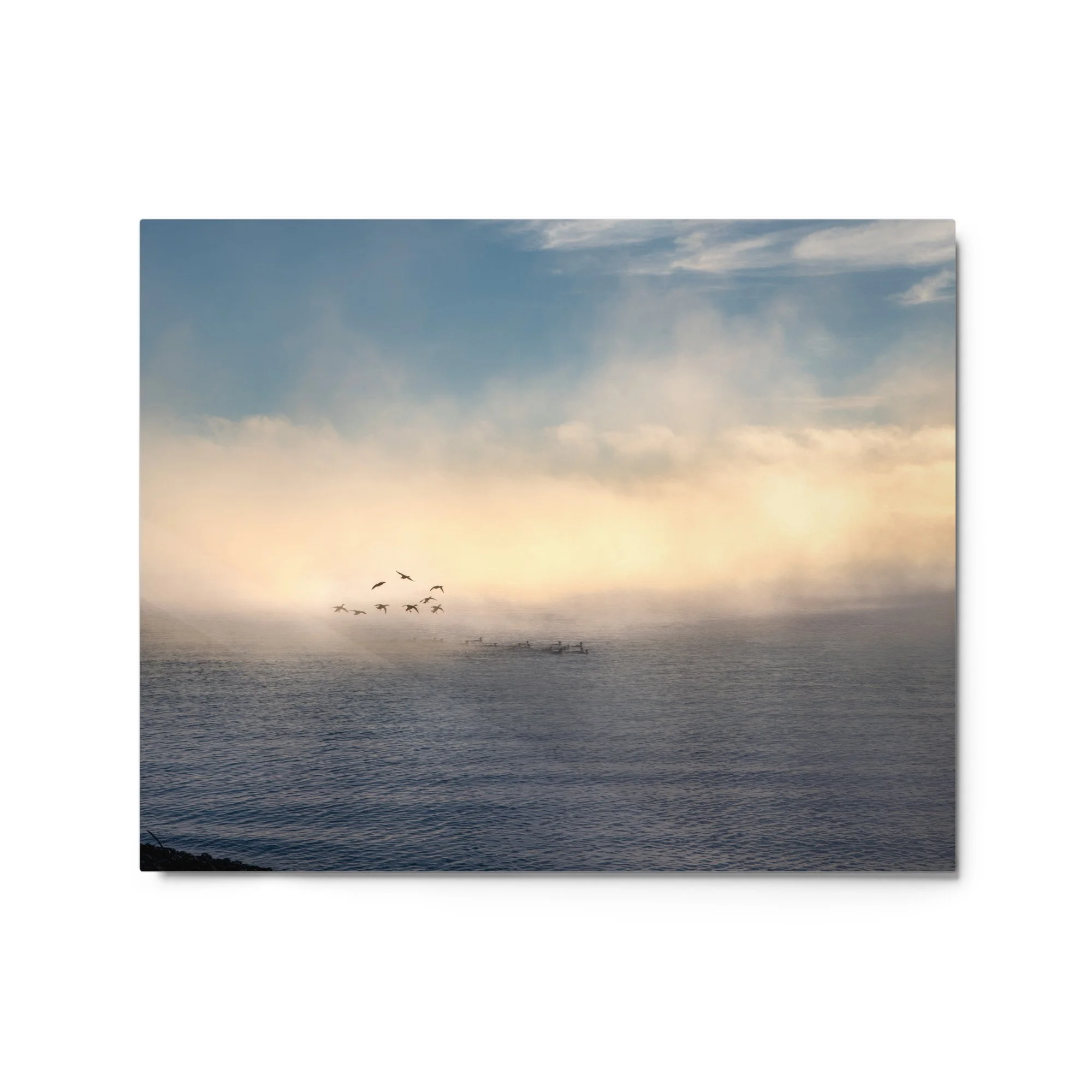 glossy-metal-print-(in)-white-16x20-front-637e4b6fe3c9a.jpg