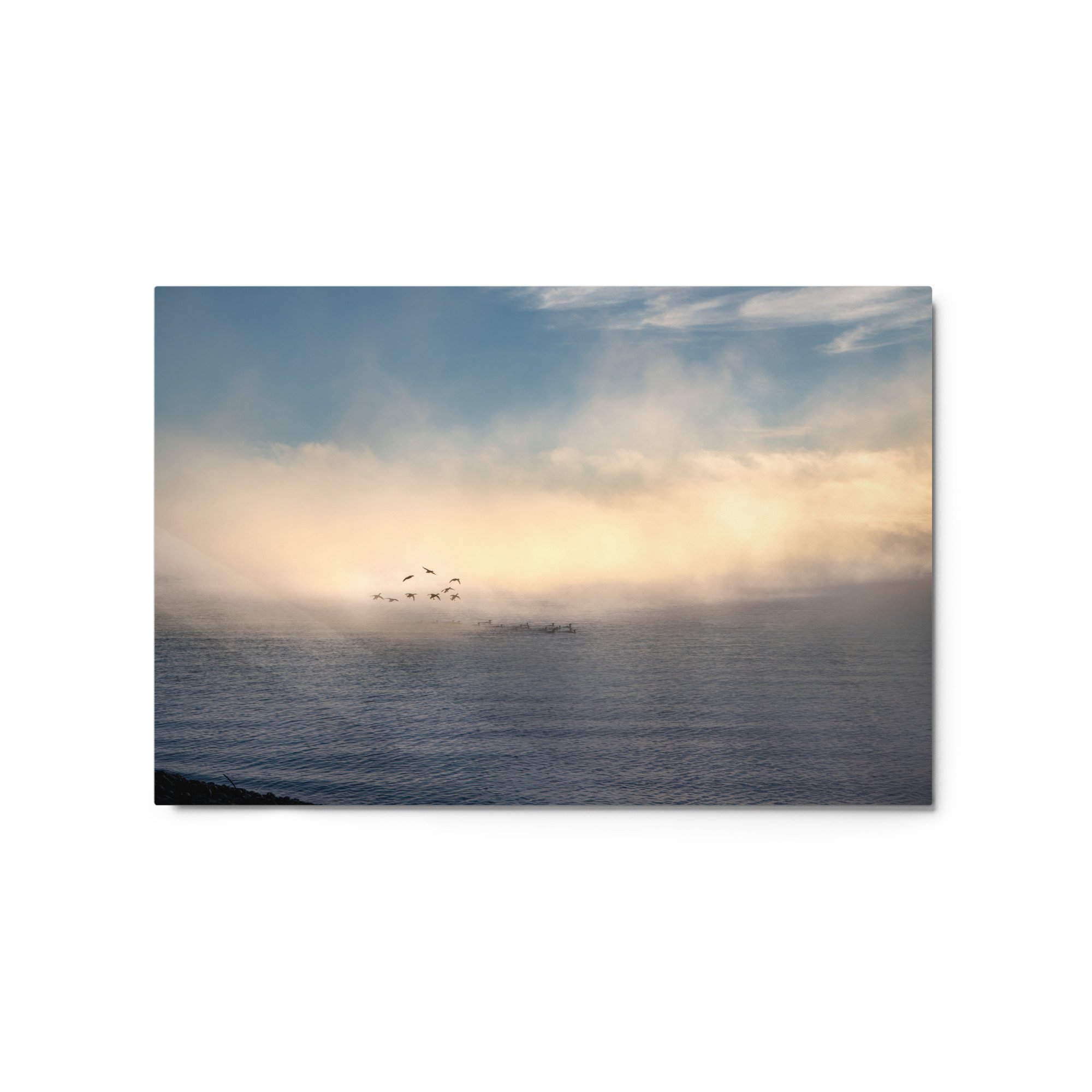 glossy-metal-print-(in)-white-20x30-front-637e4b6fe3d1f.jpg