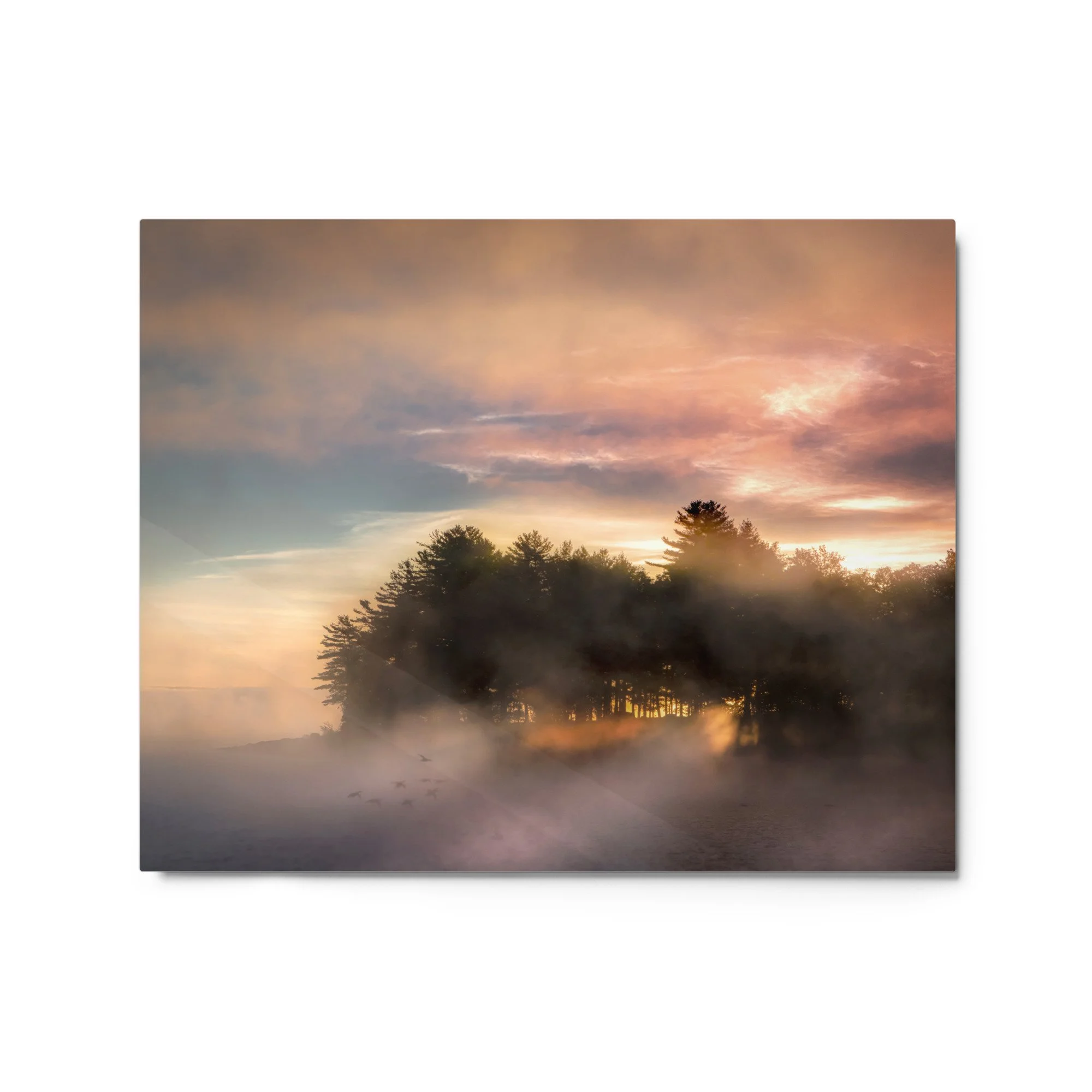 glossy-metal-print-(in)-white-16x20-front-637e5d2685354.jpg