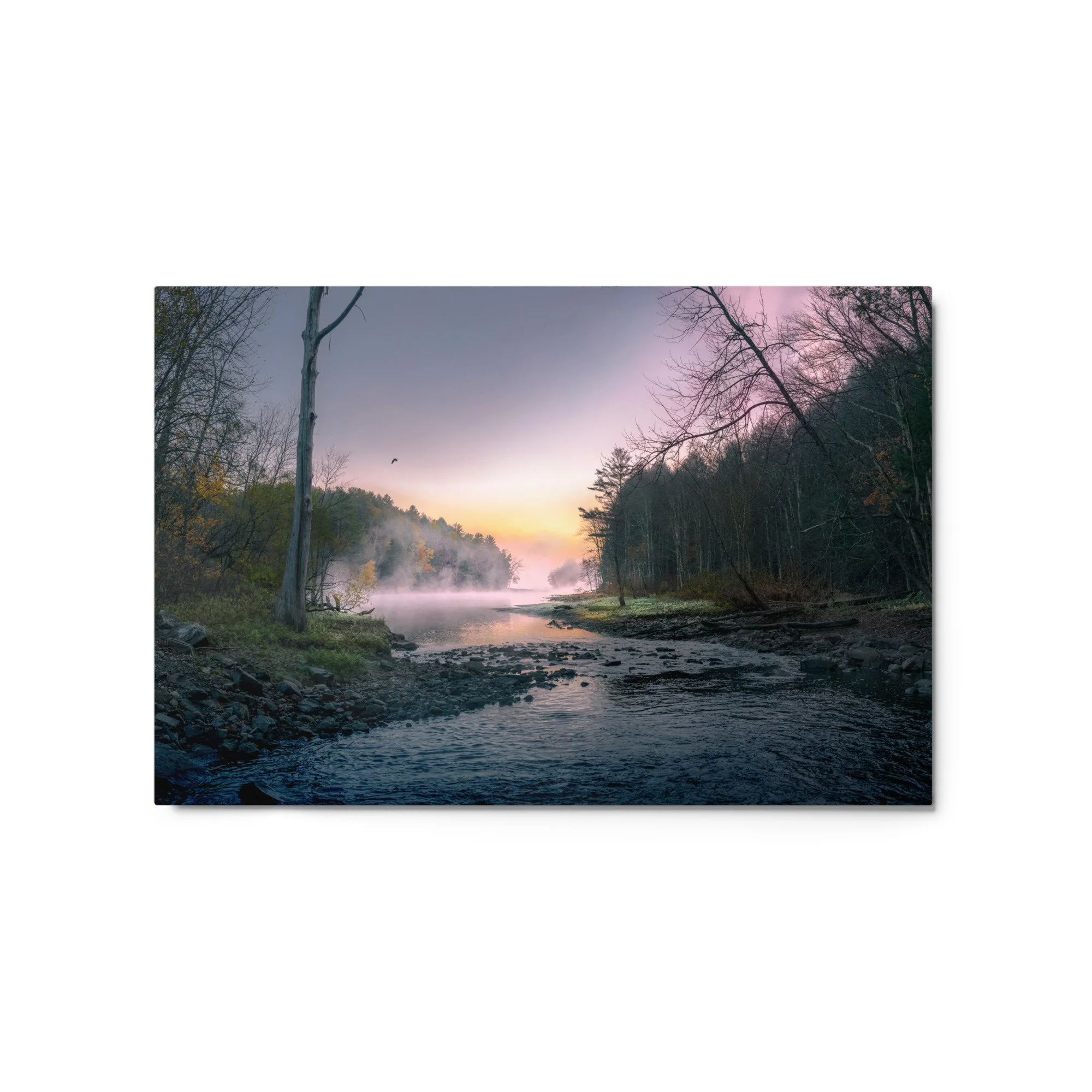 glossy-metal-print-(in)-white-20x30-front-637e7e15b7b47.jpg