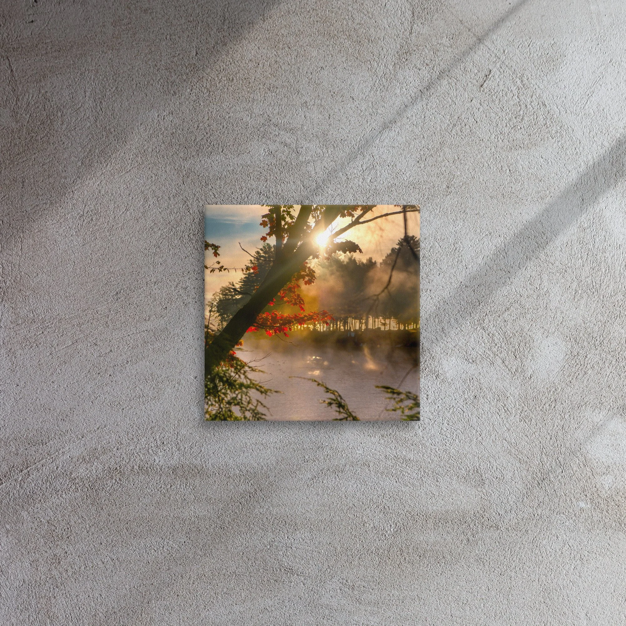 thin-canvas-(in)-12x12-front-637e8052b4016.jpg