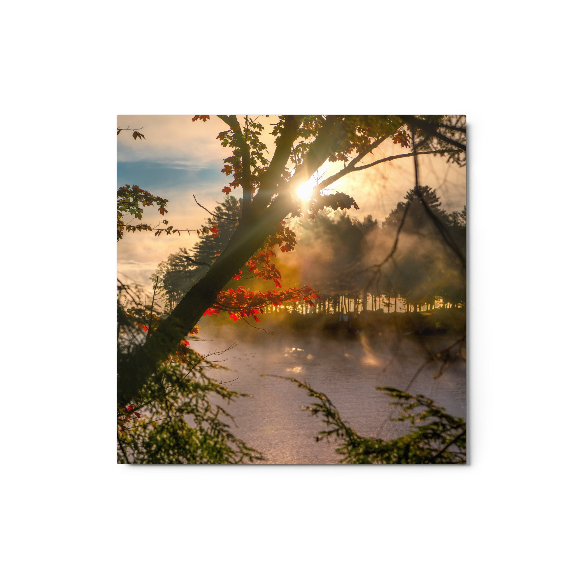 glossy-metal-print-(in)-white-12x12-front-637e8c8a14c9d.jpg
