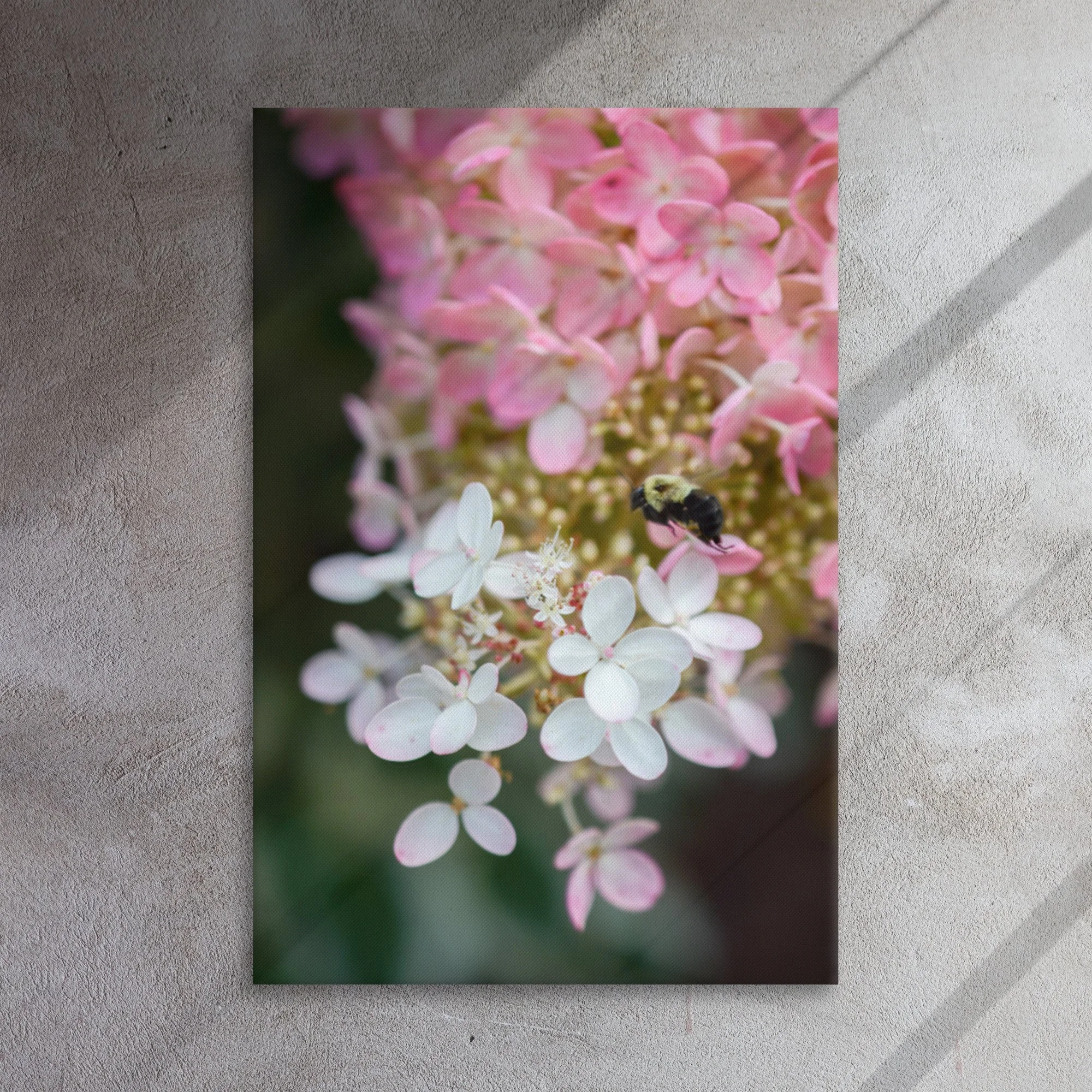 thin-canvas-(in)-24x36-front-6383c8c7ea6b5.jpg