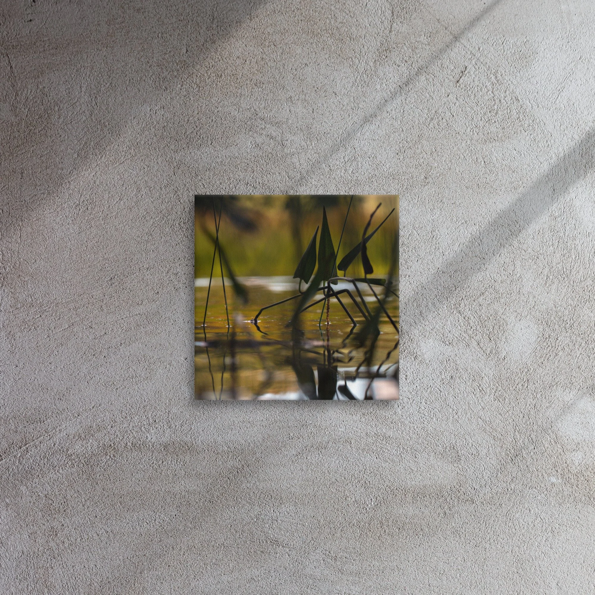 thin-canvas-(in)-12x12-front-6395242766c9d.jpg