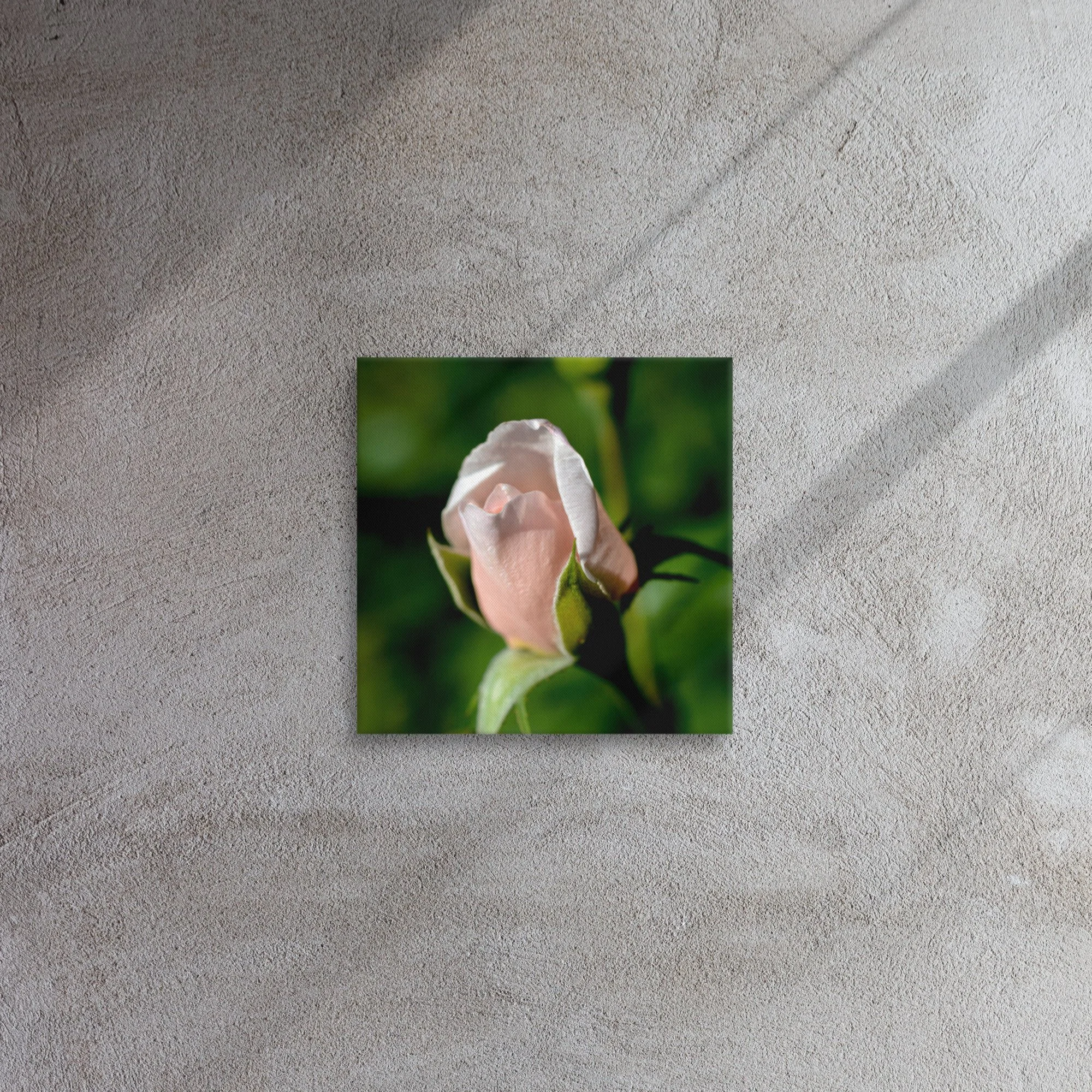 thin-canvas-(in)-12x12-front-6396543d2aa85.jpg