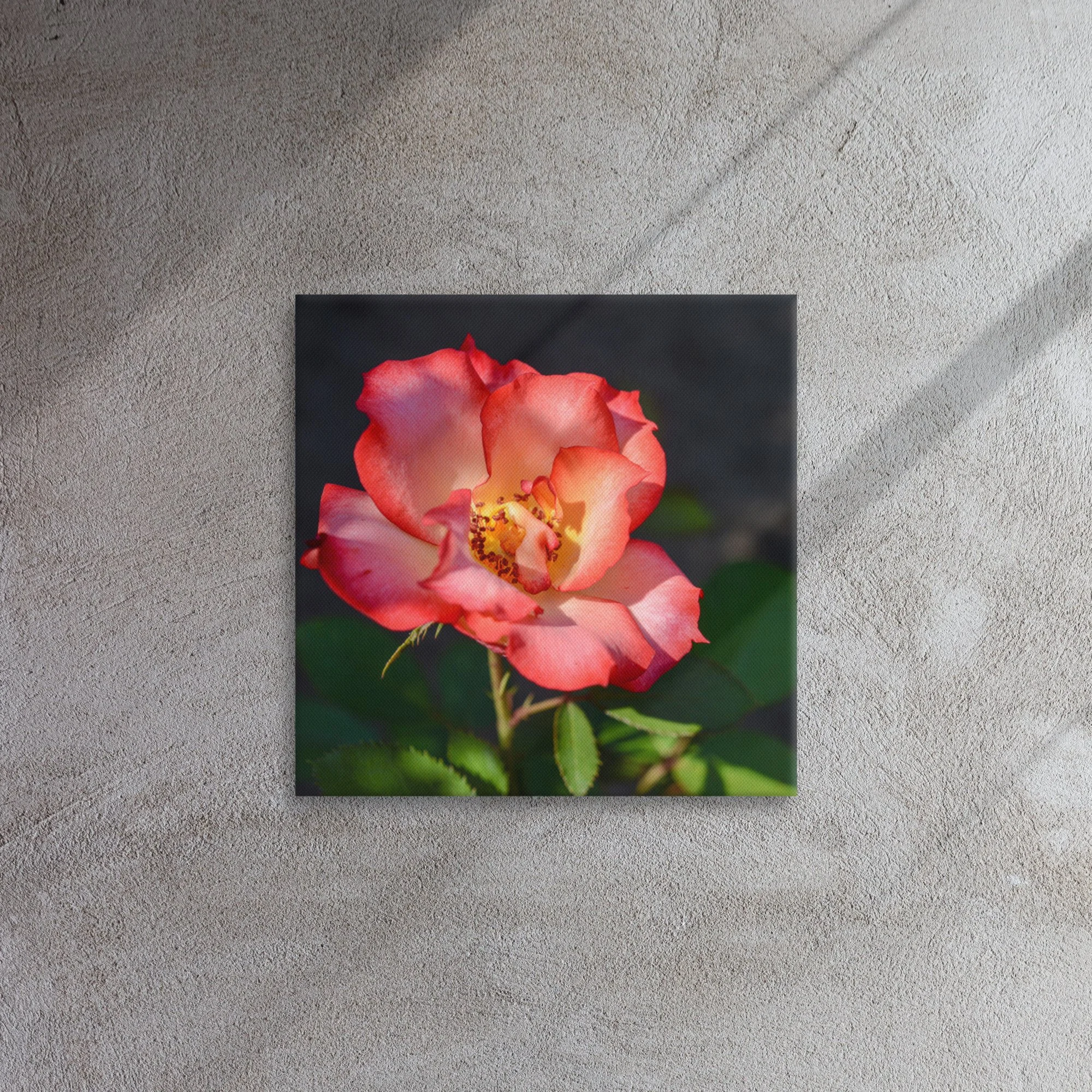 thin-canvas-(in)-16x16-front-63965a82eaae4.jpg