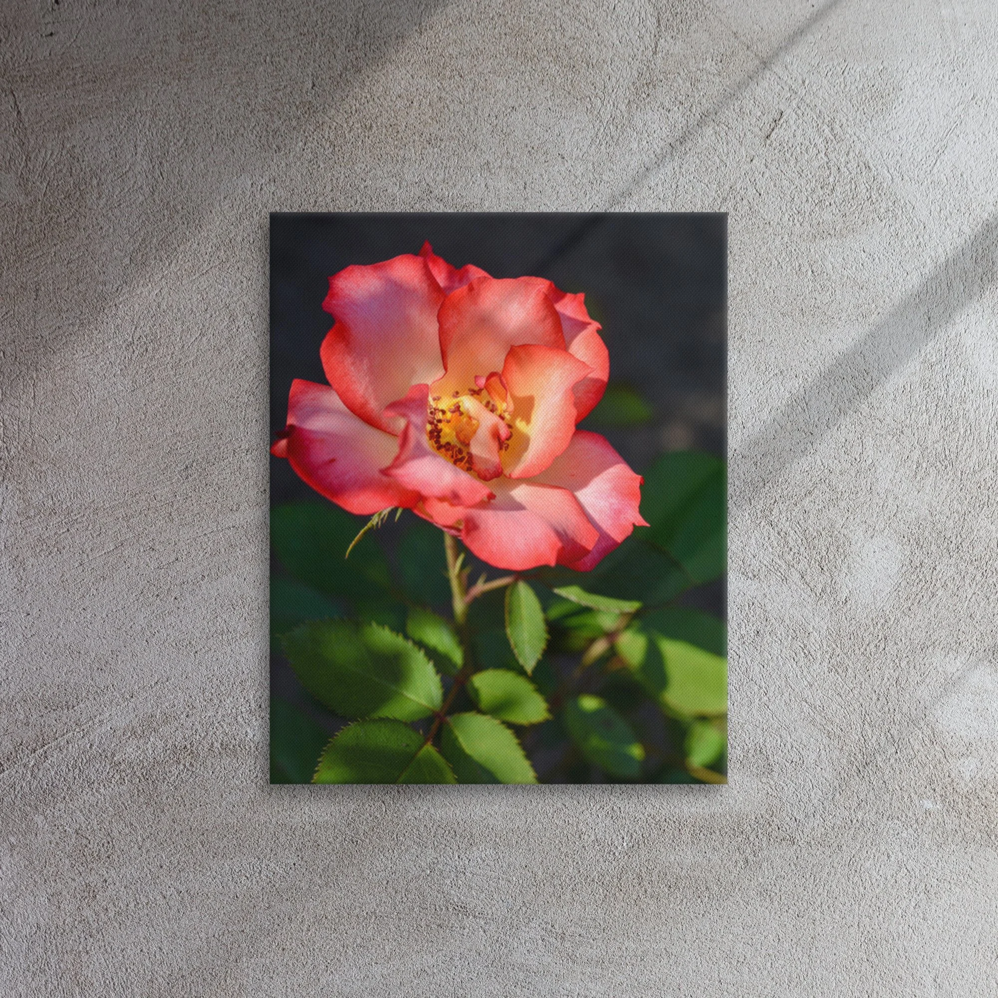 thin-canvas-(in)-16x20-front-63965a82eab5f.jpg