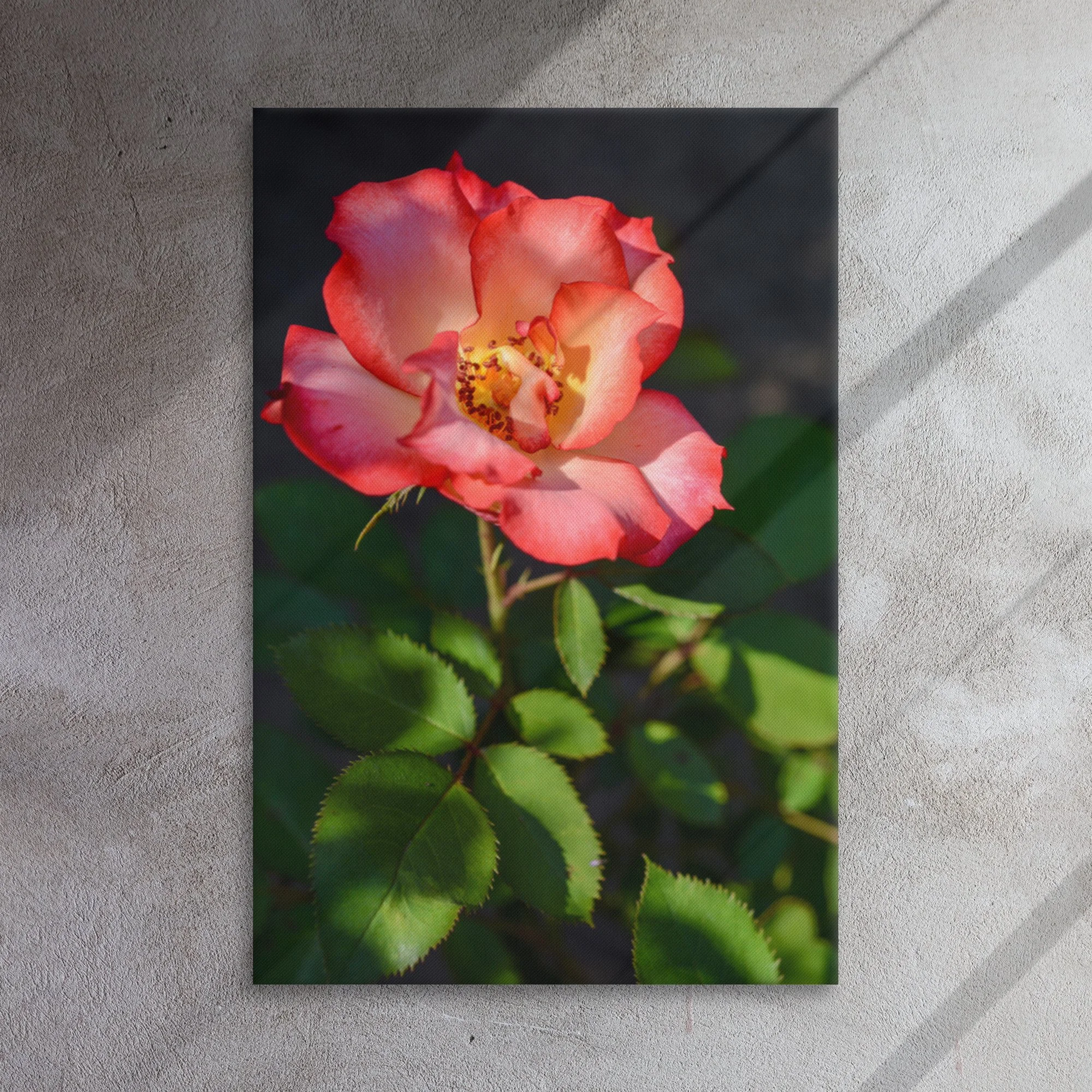 Rose 3137 - Thin Canvas