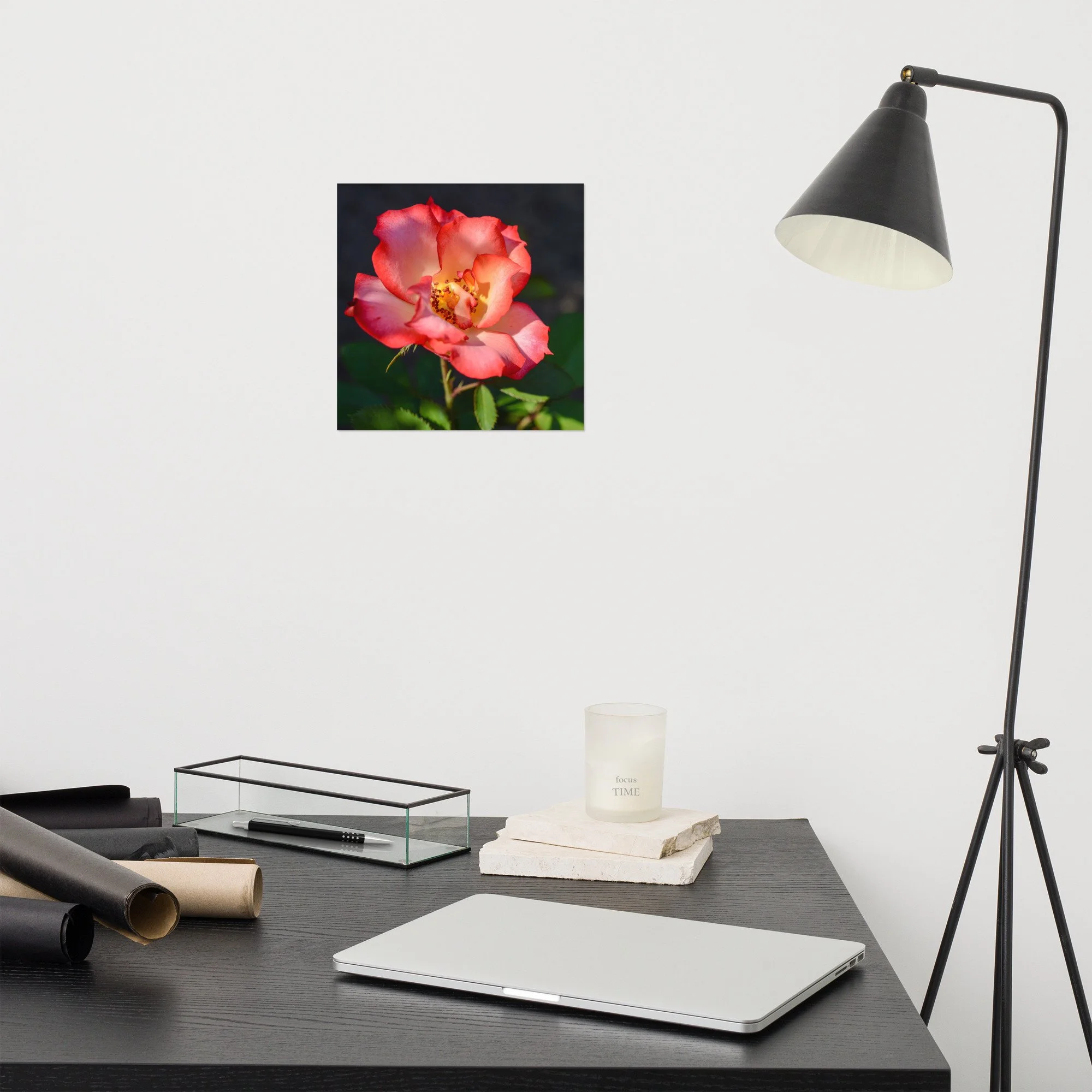 enhanced-matte-paper-poster-(in)-10x10-front-639660198bb01.jpg