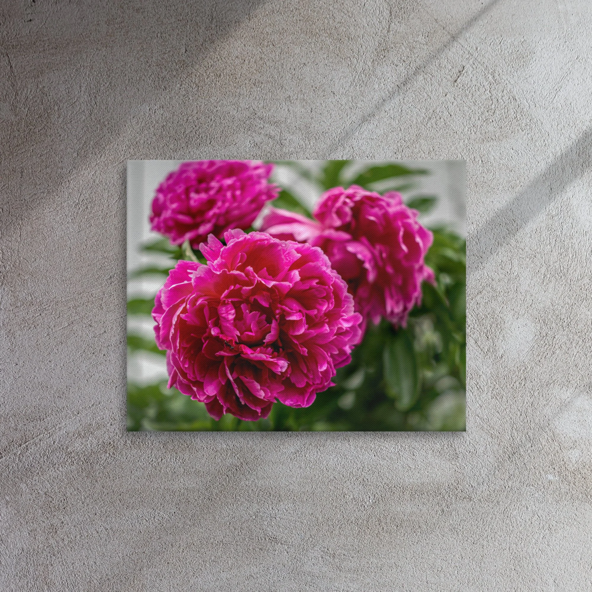 thin-canvas-(in)-16x20-front-639761c83138a.jpg