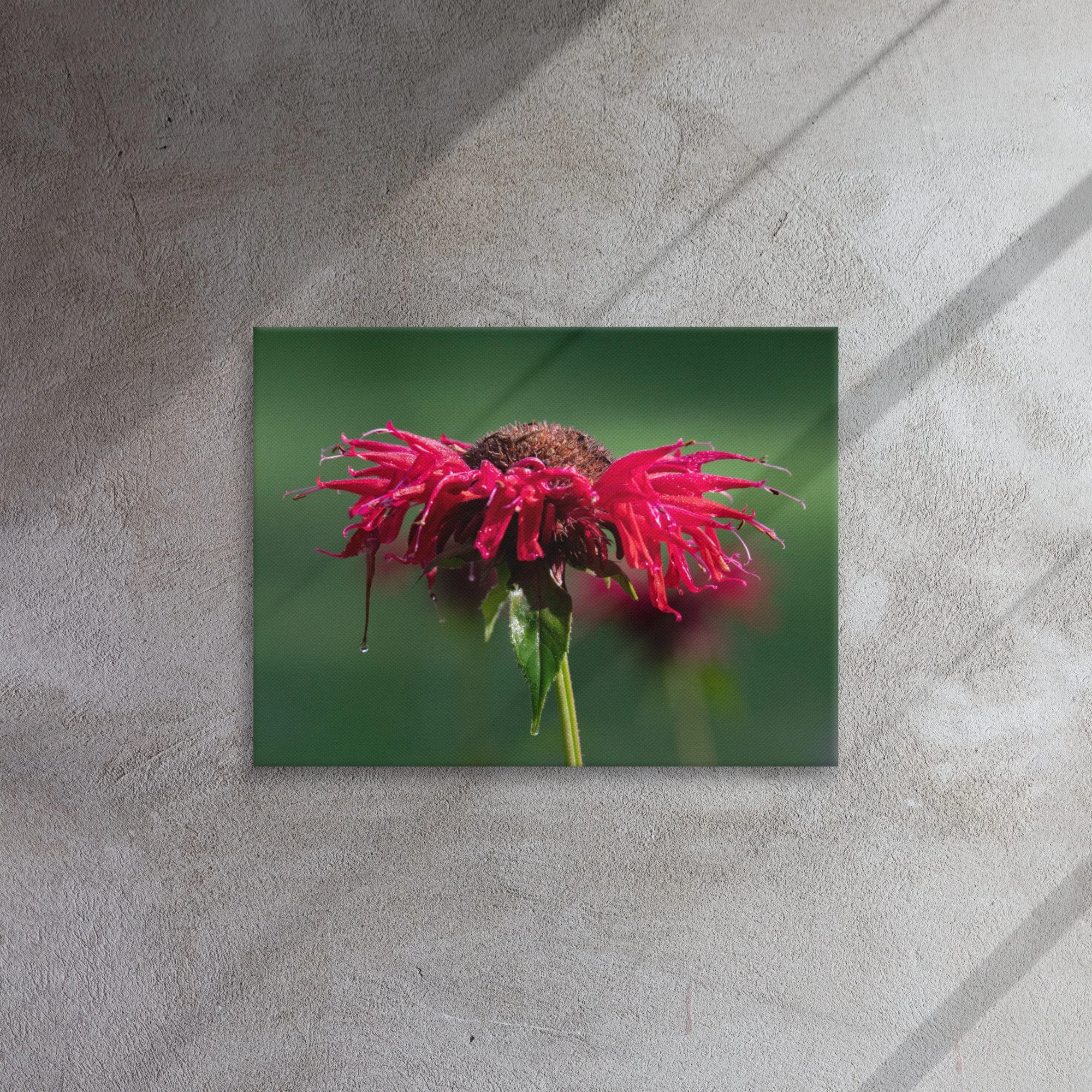 thin-canvas-(in)-18x24-front-639768d6cbf27.jpg