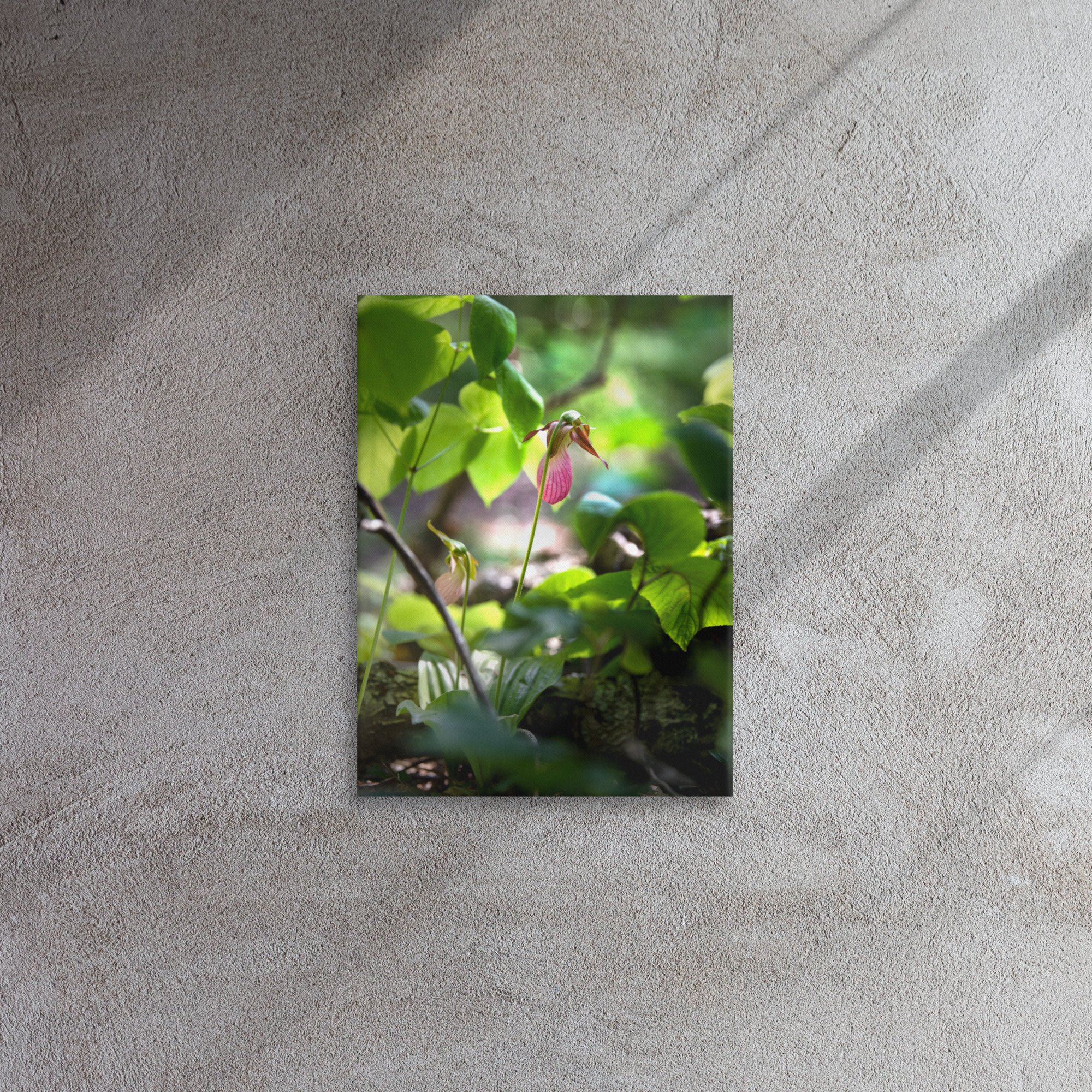thin-canvas-(in)-12x16-front-63b9c27d1090f.jpg
