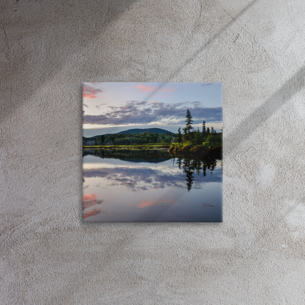 thin-canvas-(in)-16x16-front-65cc07aba06ec.png