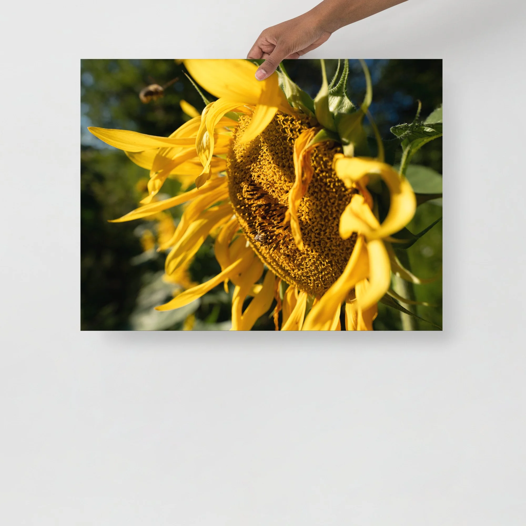 enhanced-matte-paper-poster-(in)-18x24-front-667c906703002.jpg
