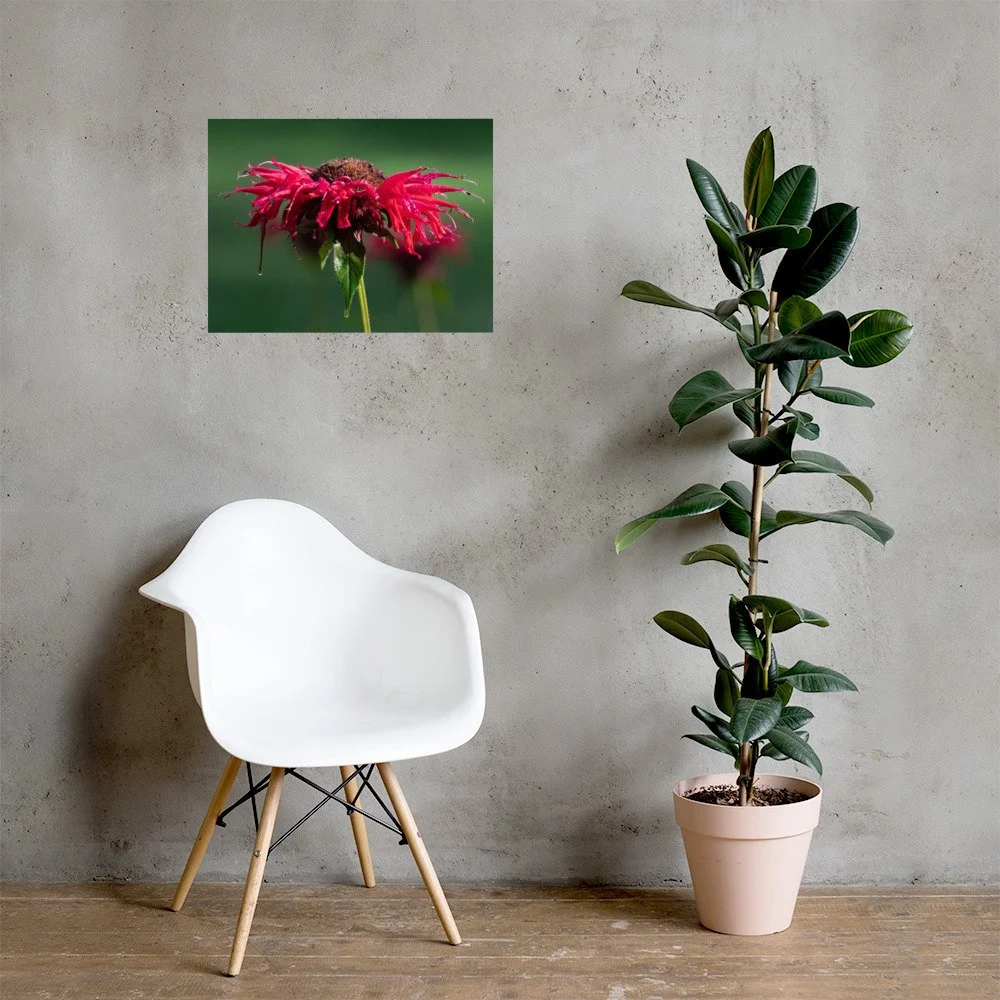 enhanced-matte-paper-poster-(in)-18x24-lifestyle-1-667c928f8e900.jpg