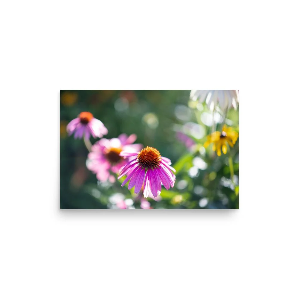 enhanced-matte-paper-poster-(in)-12x18-front-667c946e46228.jpg