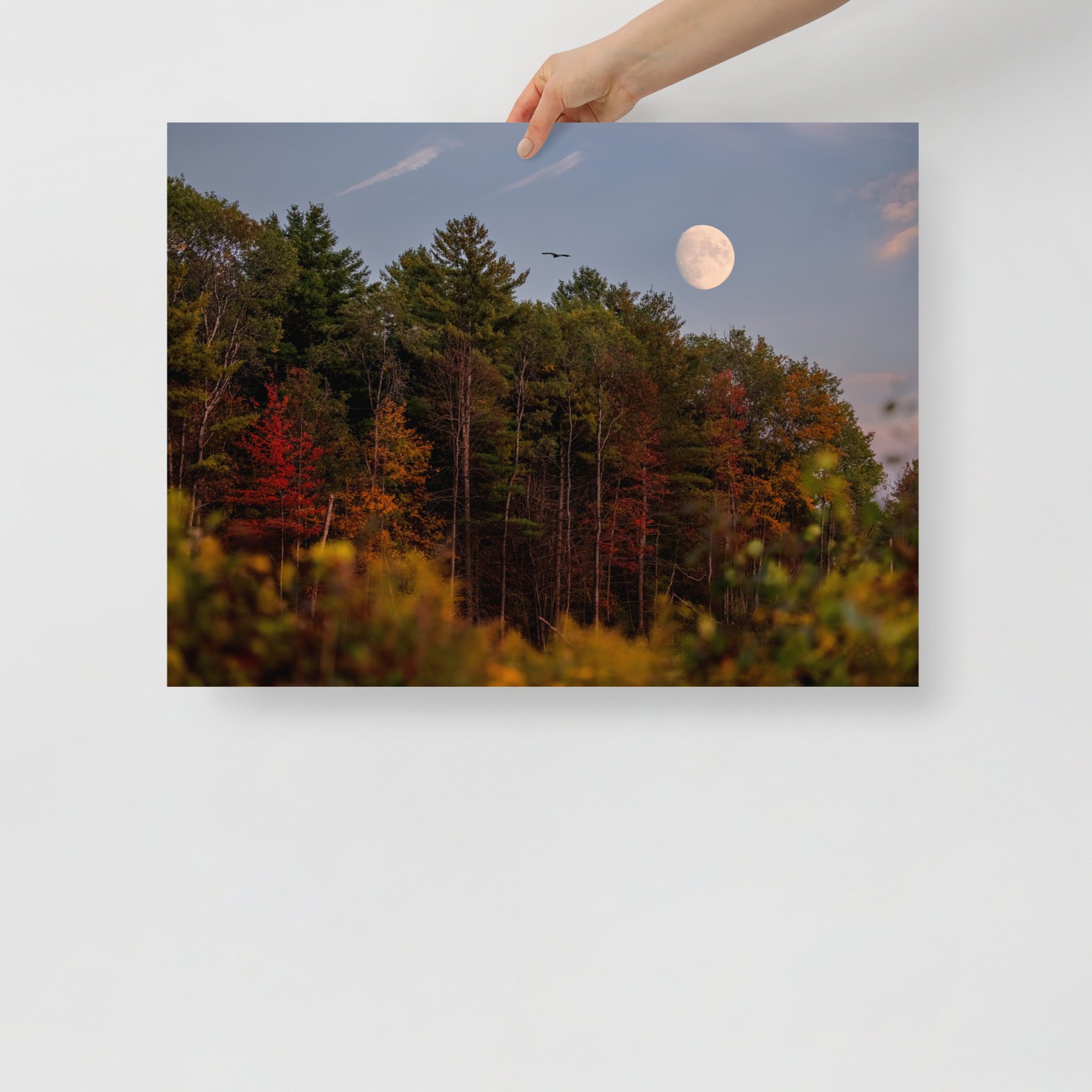 enhanced-matte-paper-poster-(in)-18x24-front-667ca3b25612f.jpg