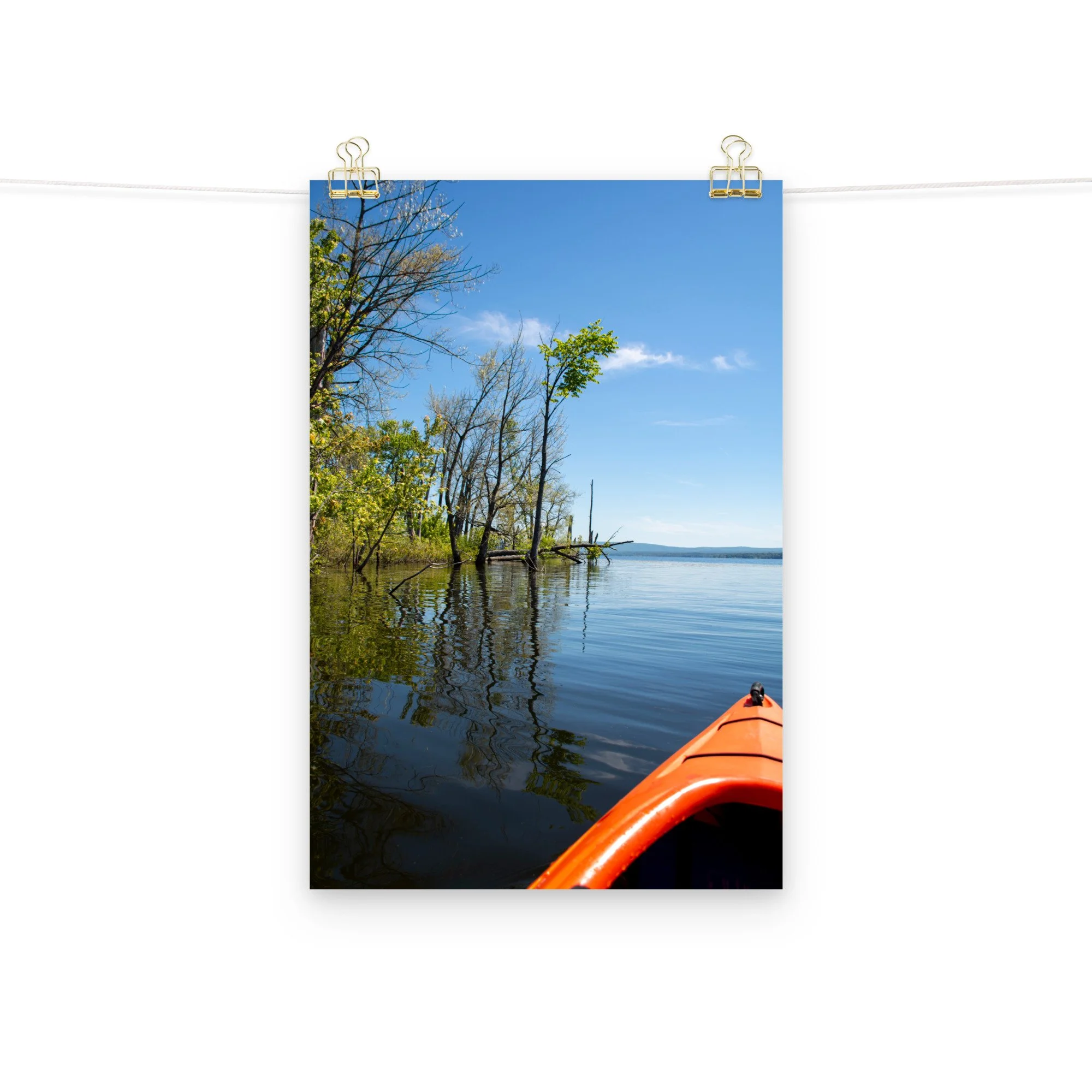 enhanced-matte-paper-poster-(in)-12x18-front-2-667ca5cc72187.jpg