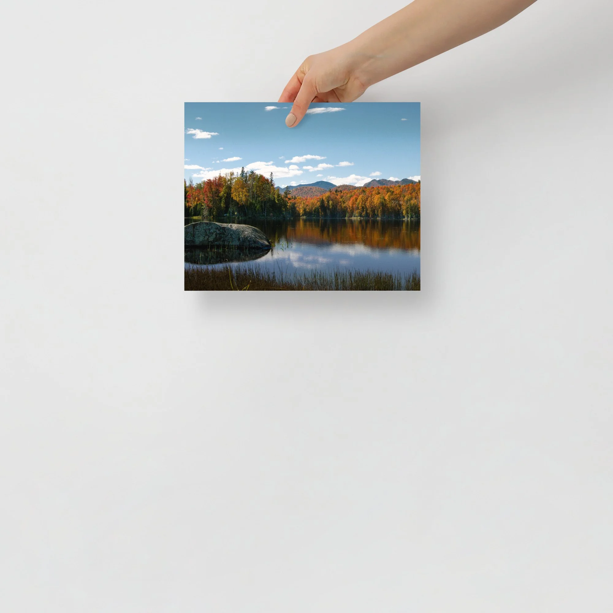 enhanced-matte-paper-poster-(in)-8x10-front-667ca6dfd213a.jpg