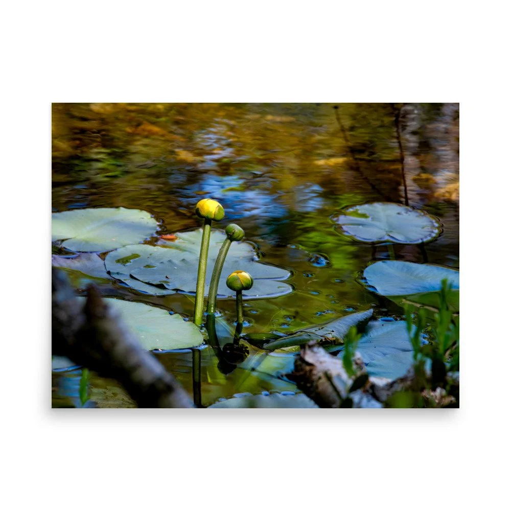 enhanced-matte-paper-poster-(in)-18x24-front-66810c7bdd207.jpg
