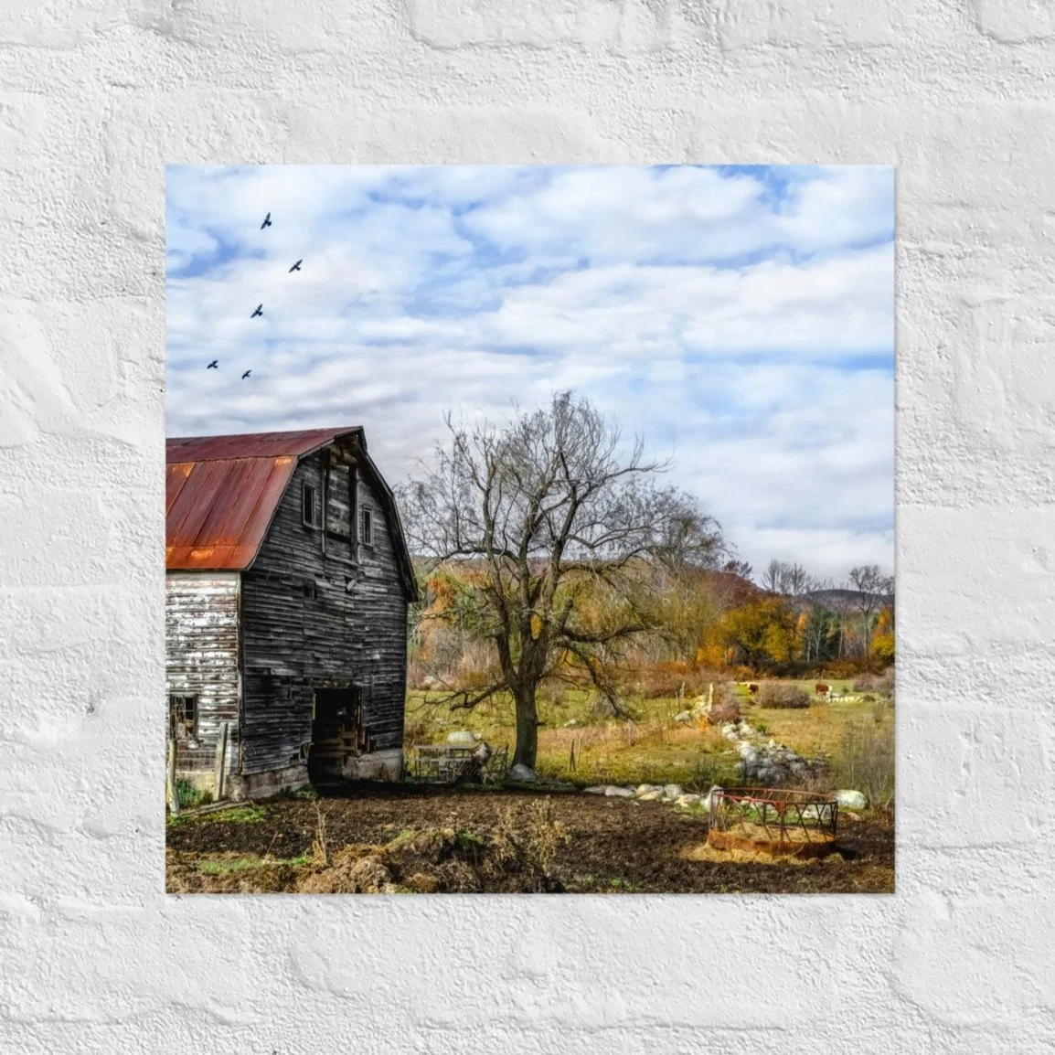 enhanced-matte-paper-poster-(in)-14x14-front-6681836bd54c3.jpg