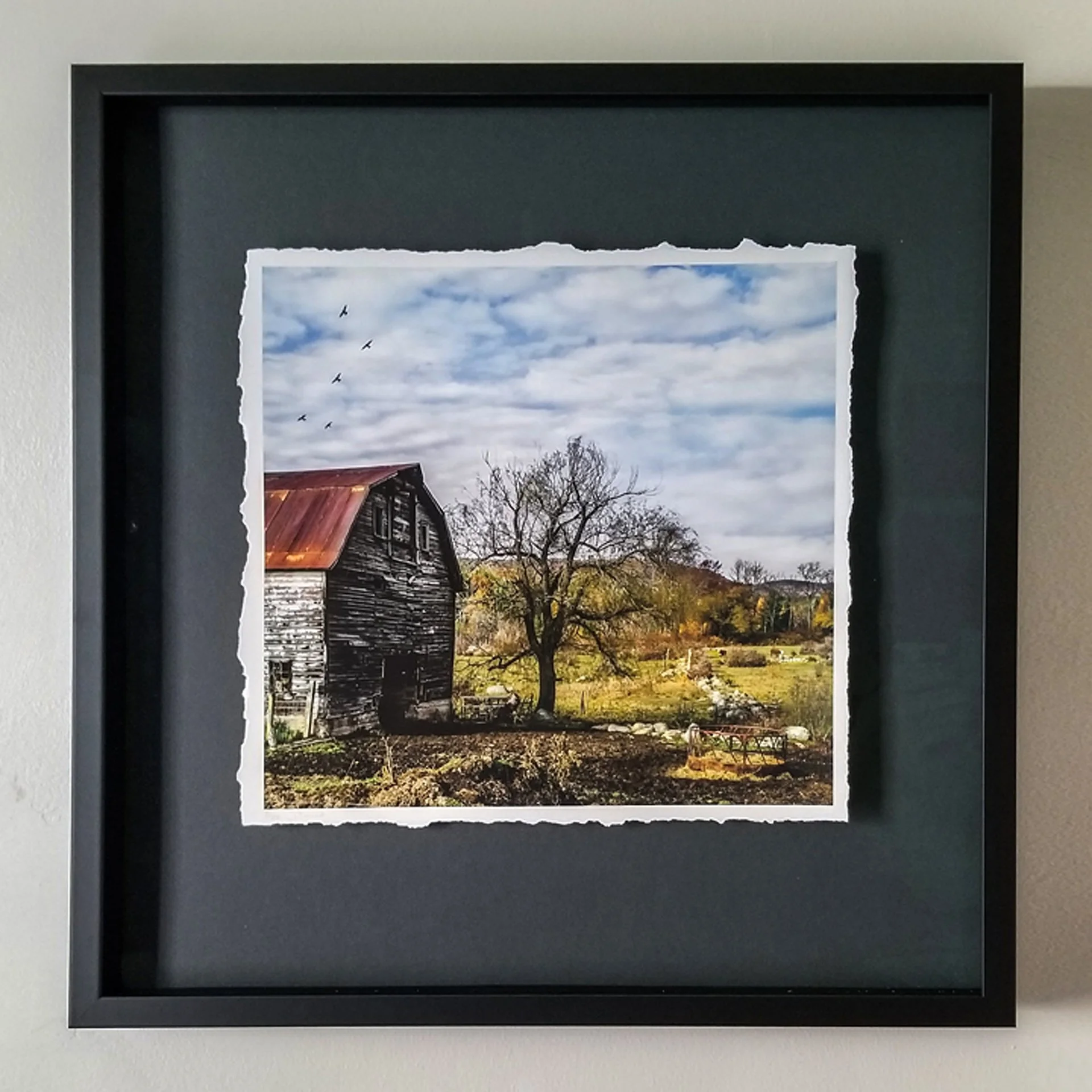 framed+Barn+with+Pigeons+6585+10x10+72ppi copy.jpg