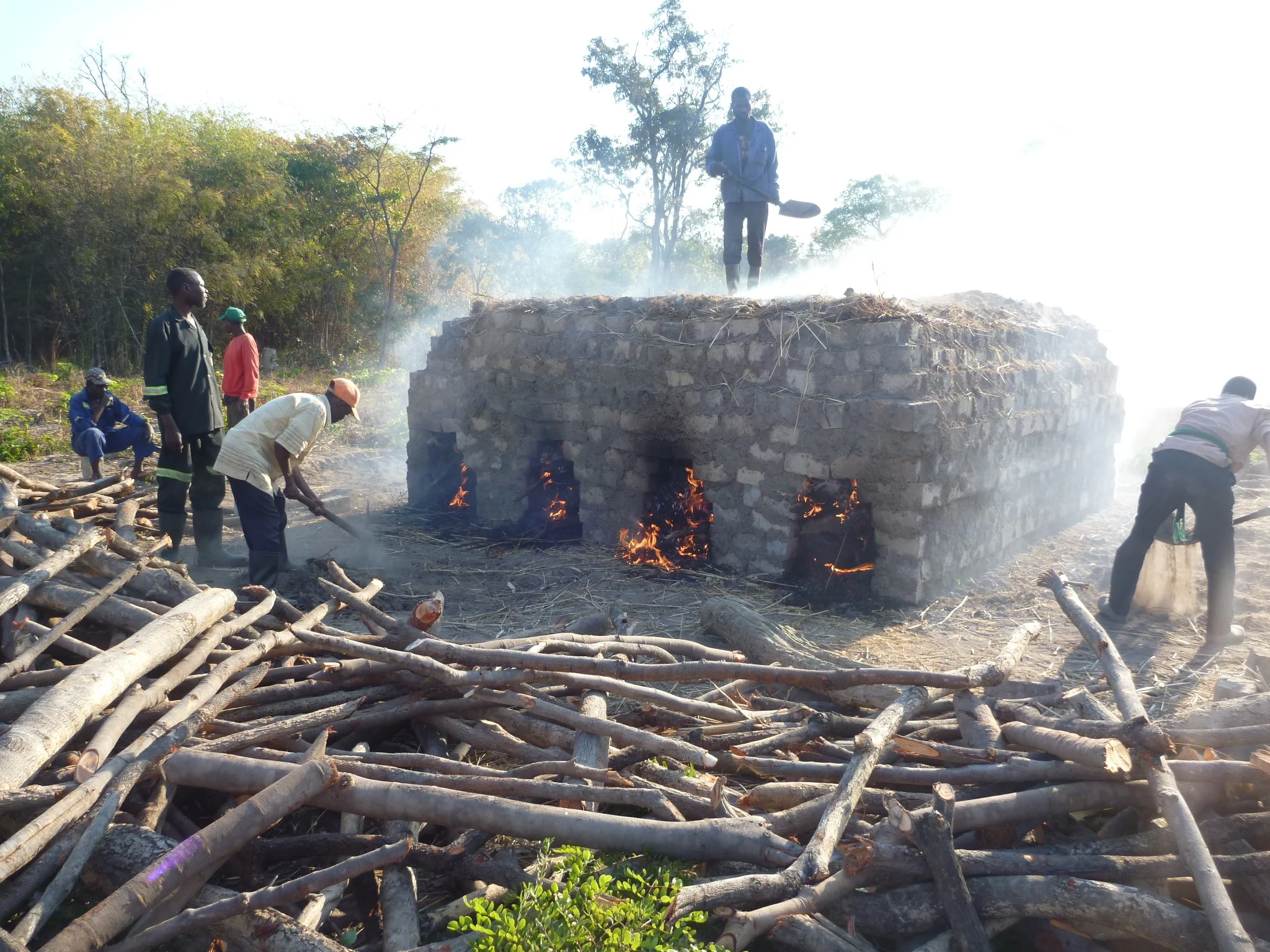 Health Post Bricks—All Set to Go!