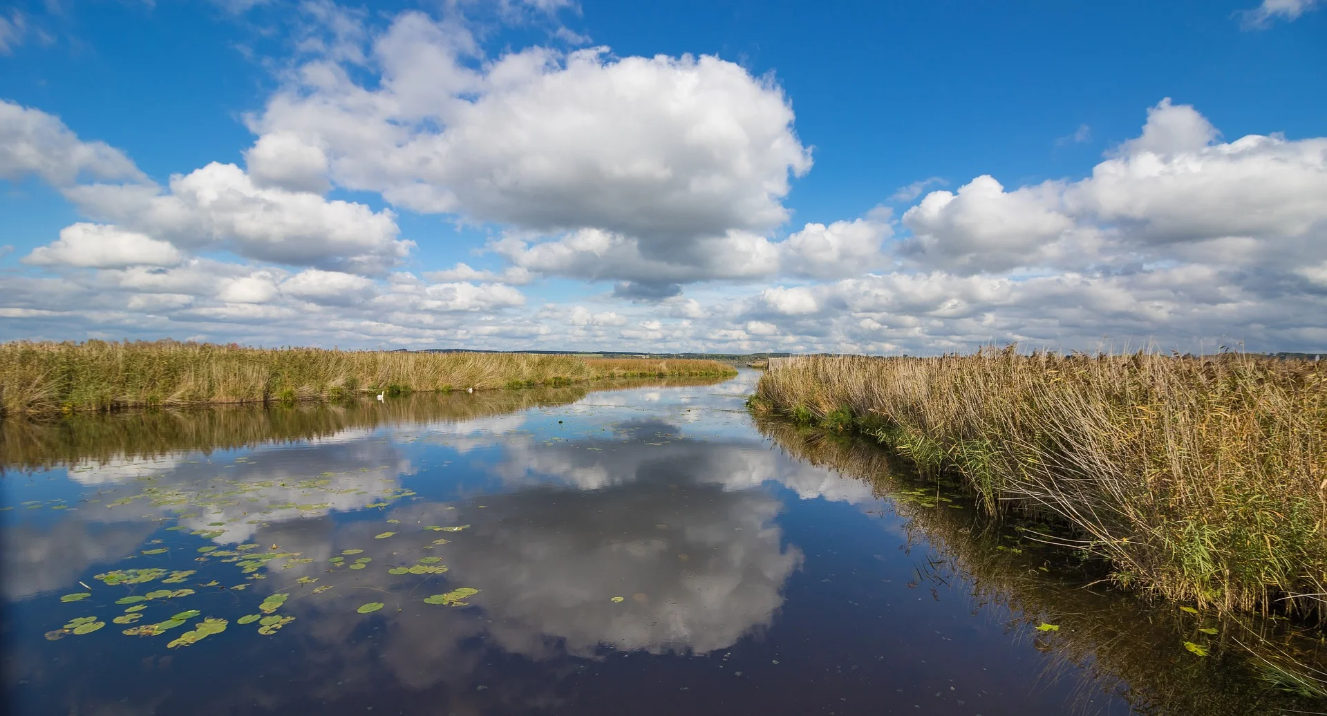spring-lake-2806268_1920.jpg