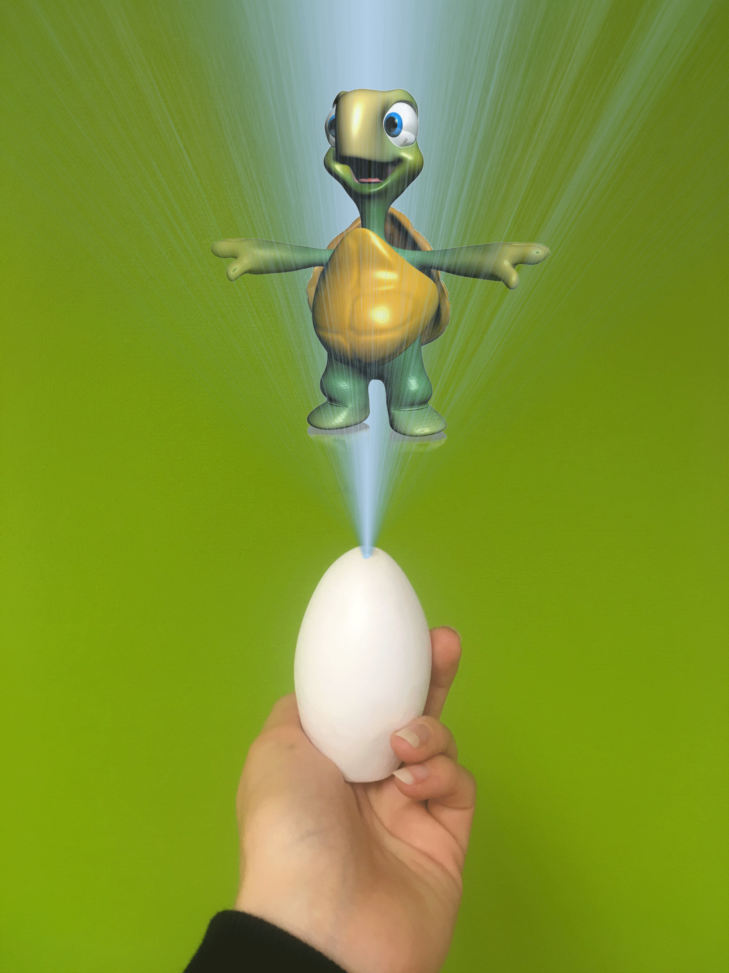 HologramEggTurtle.png