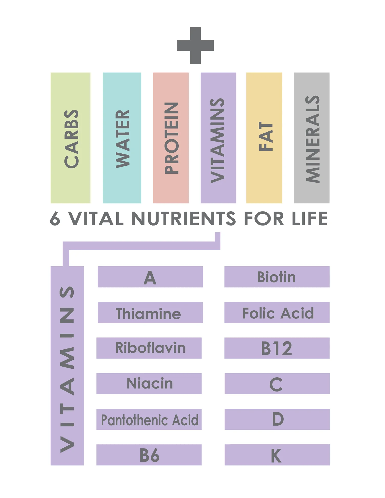 NutritentsLife.jpg