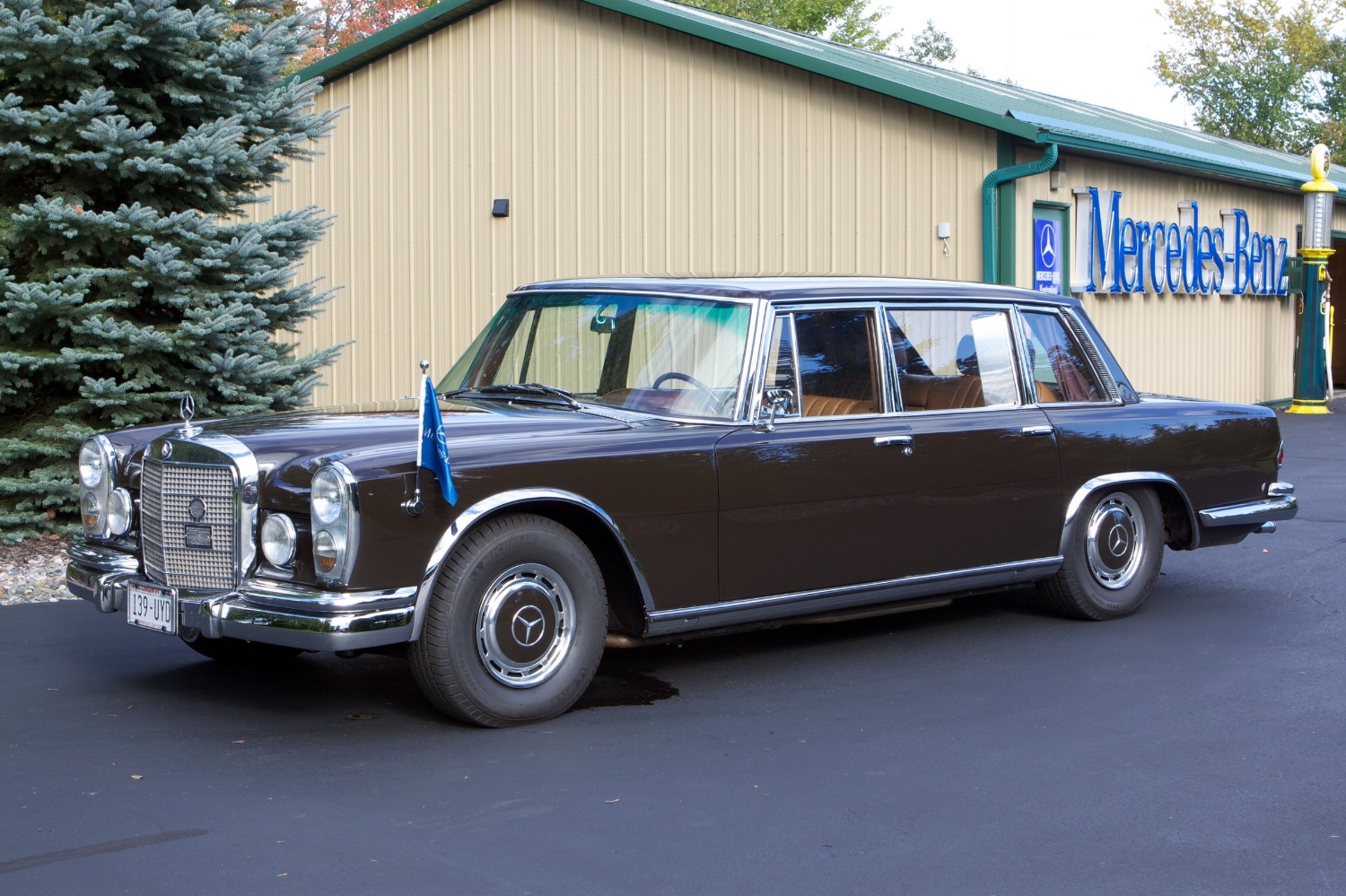 20140913 VIN0081 Tobacco Brown 600 SWB 8.jpg