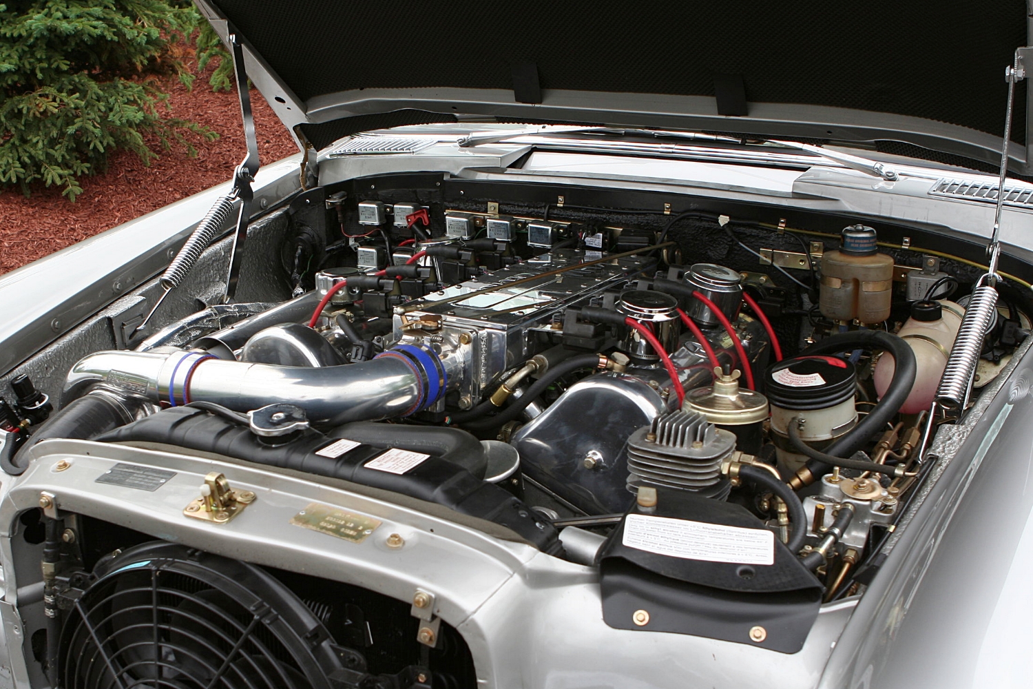 VIN0318 1965 600 El Benzo — Classic Car Restoration, LLC