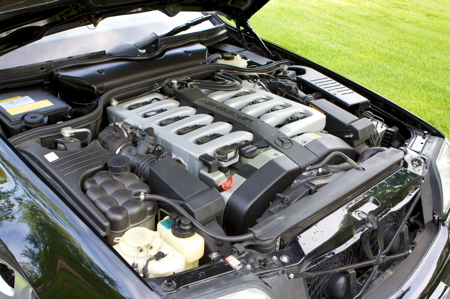 20110614 Mercedes Photo Shoot 18.jpg