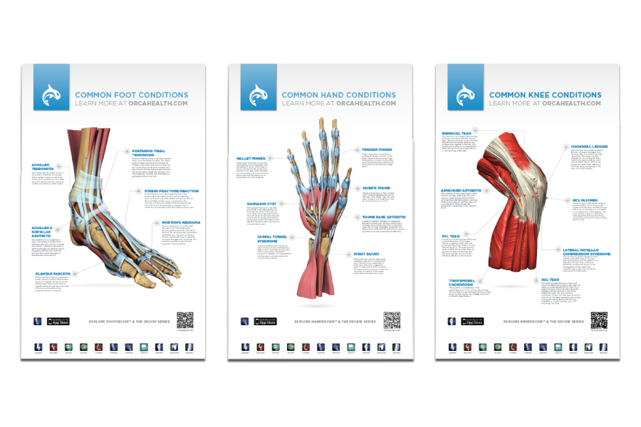  Orca Health // Posters 