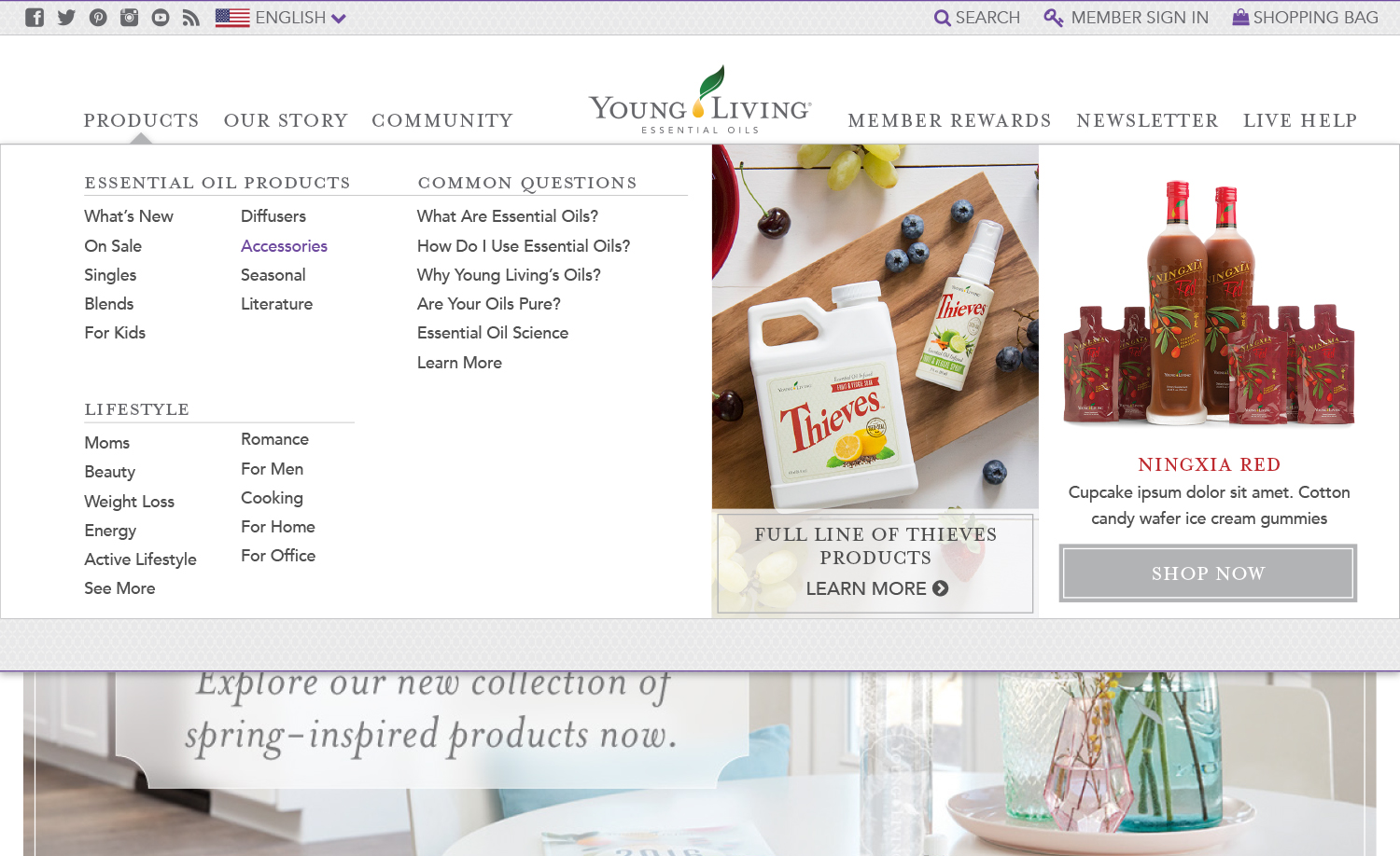 Website1_Desktop-Nav.jpg