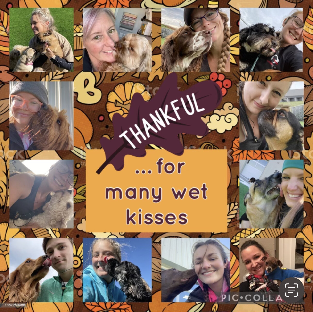 ☯🐾 Happy Thanksgiving to our Zen Dogs Family &amp; Friends! 🦃🍁
We have so much to be thankful for, and wanted to share some of our favorites! We wish you a very safe &amp; blessed holiday with your family and loved ones. 💝