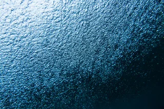 The Story Behind the Cover Photo