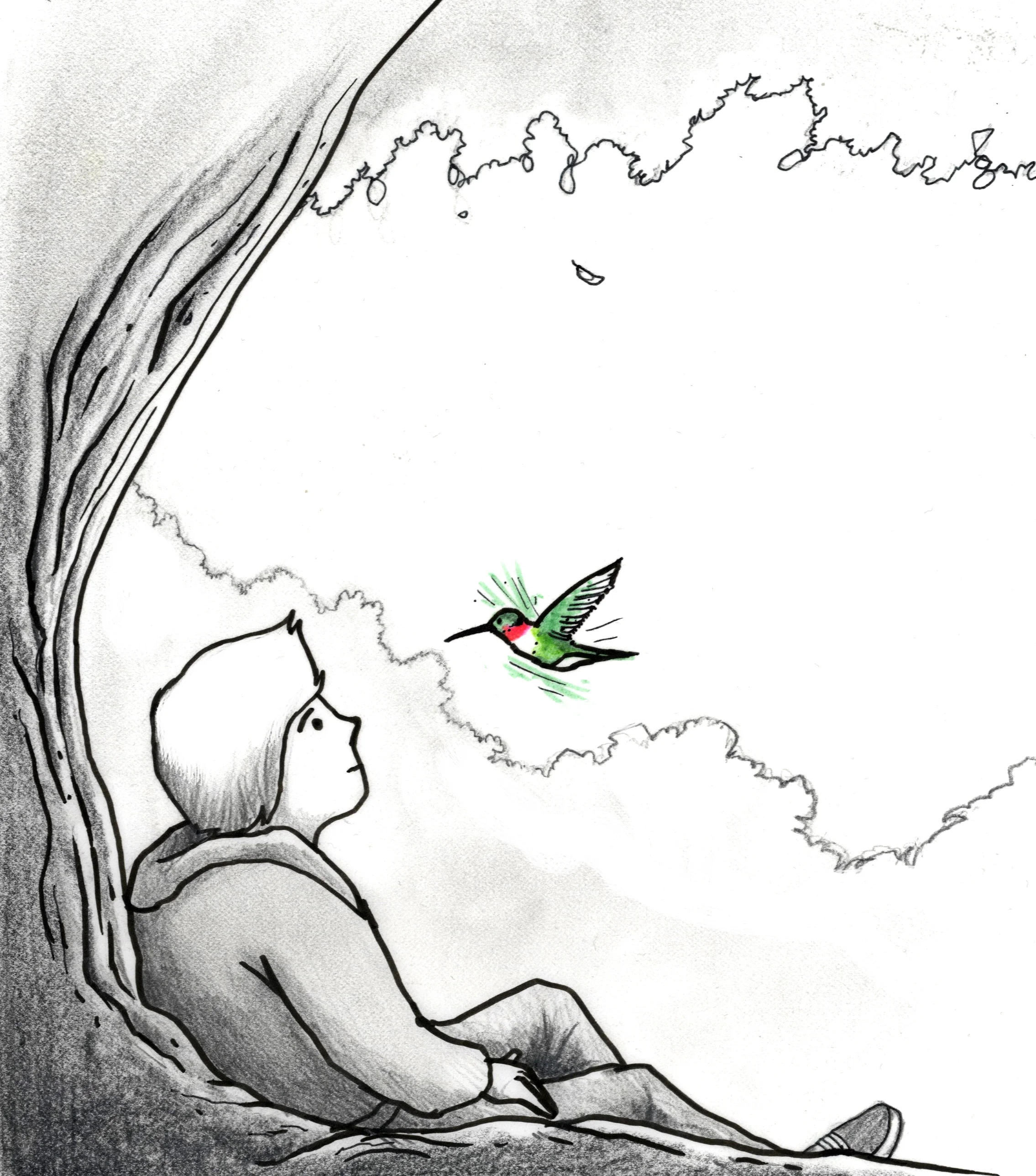 Boy and Hummingbird (End of Book) (1).jpg