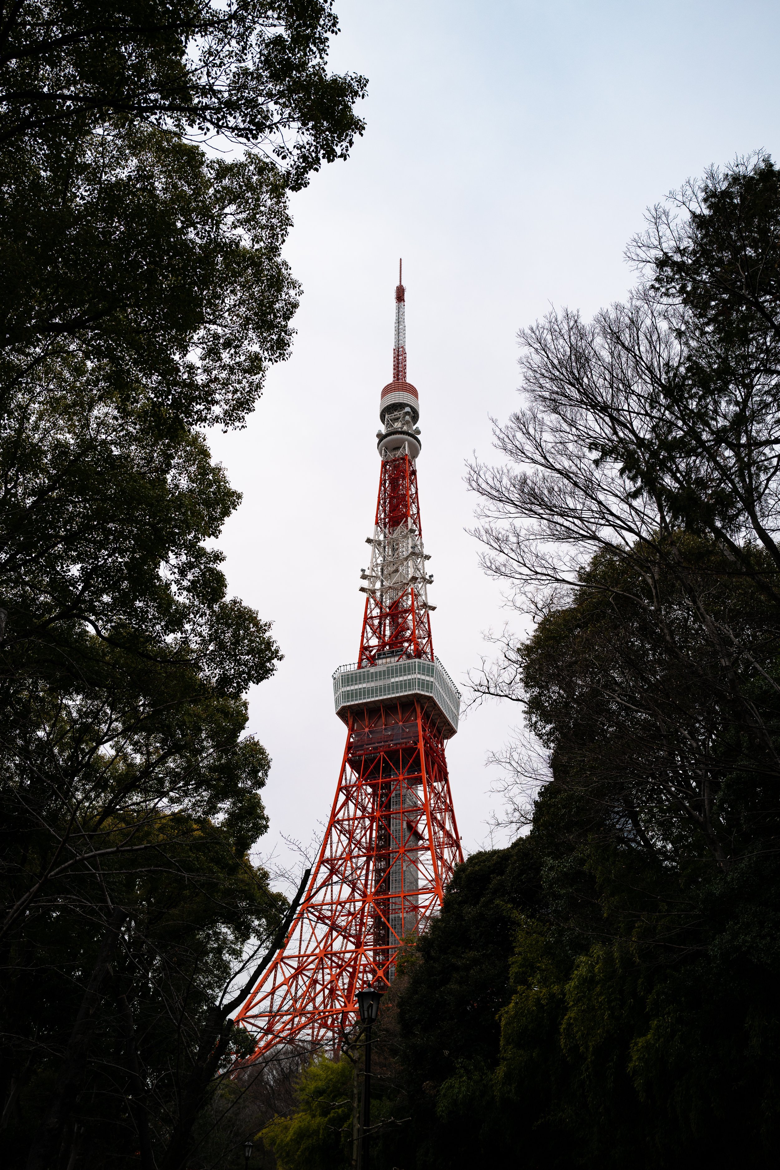 L1000009.jpg