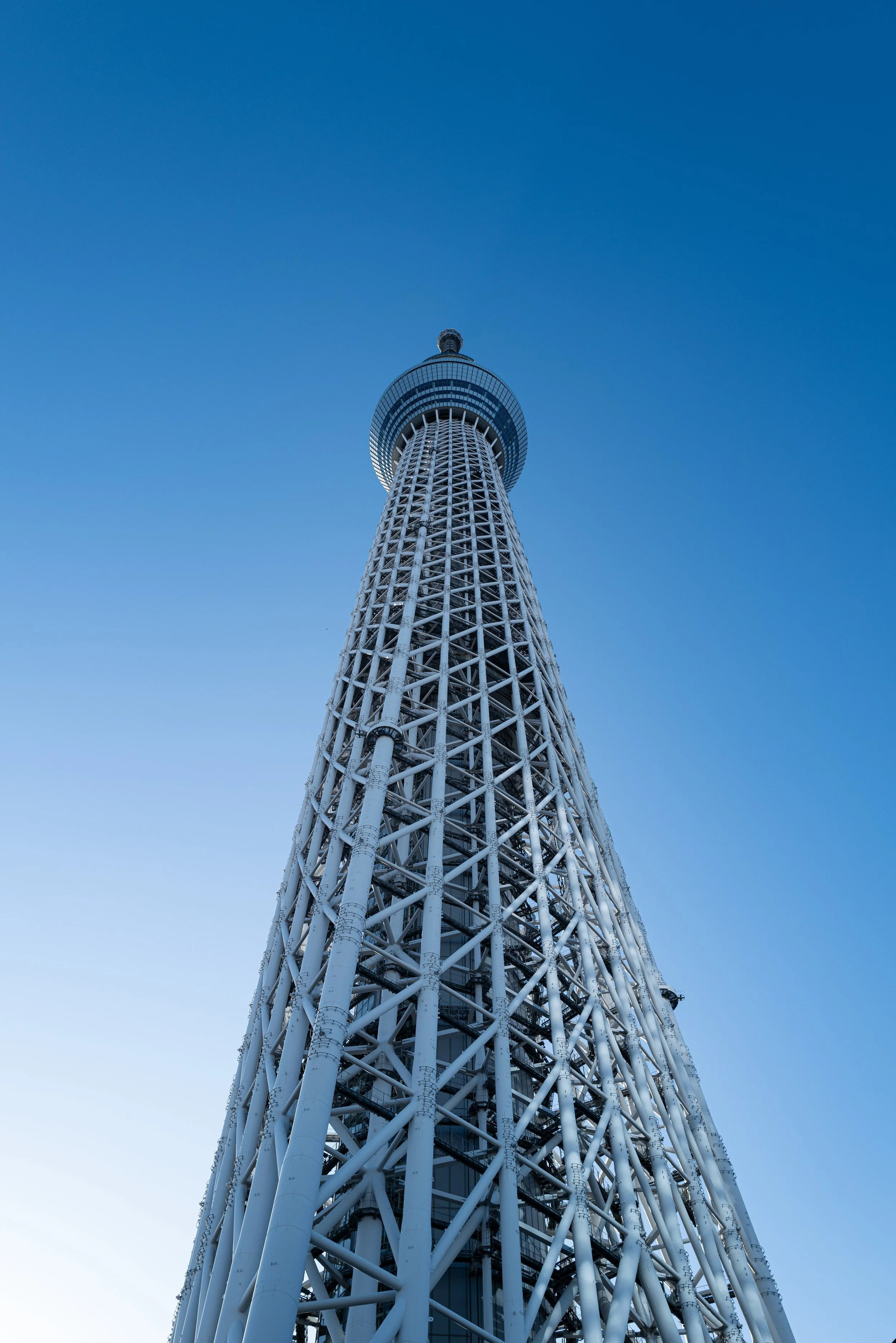 L1000056.jpg