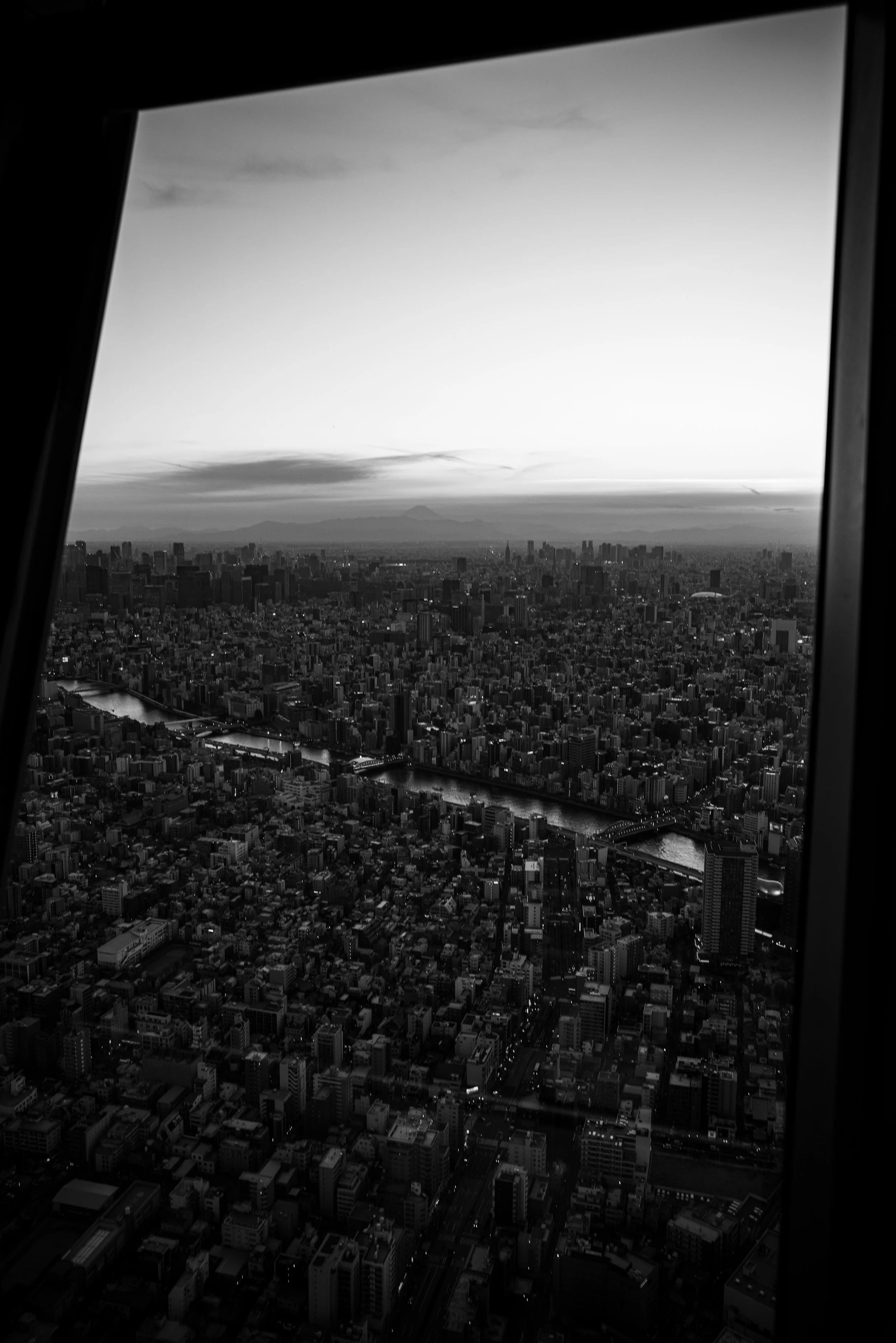 L1000060.jpg